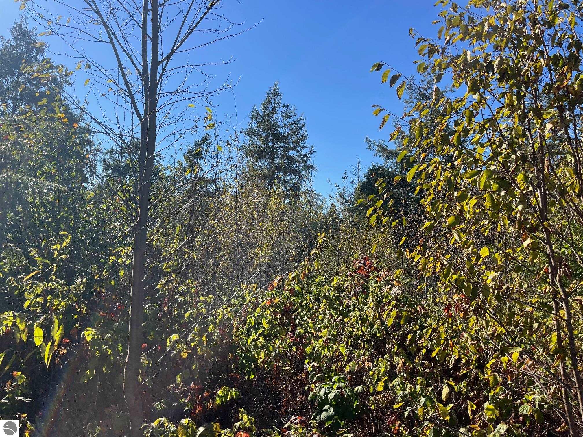 8787 Hemlock Hill Drive