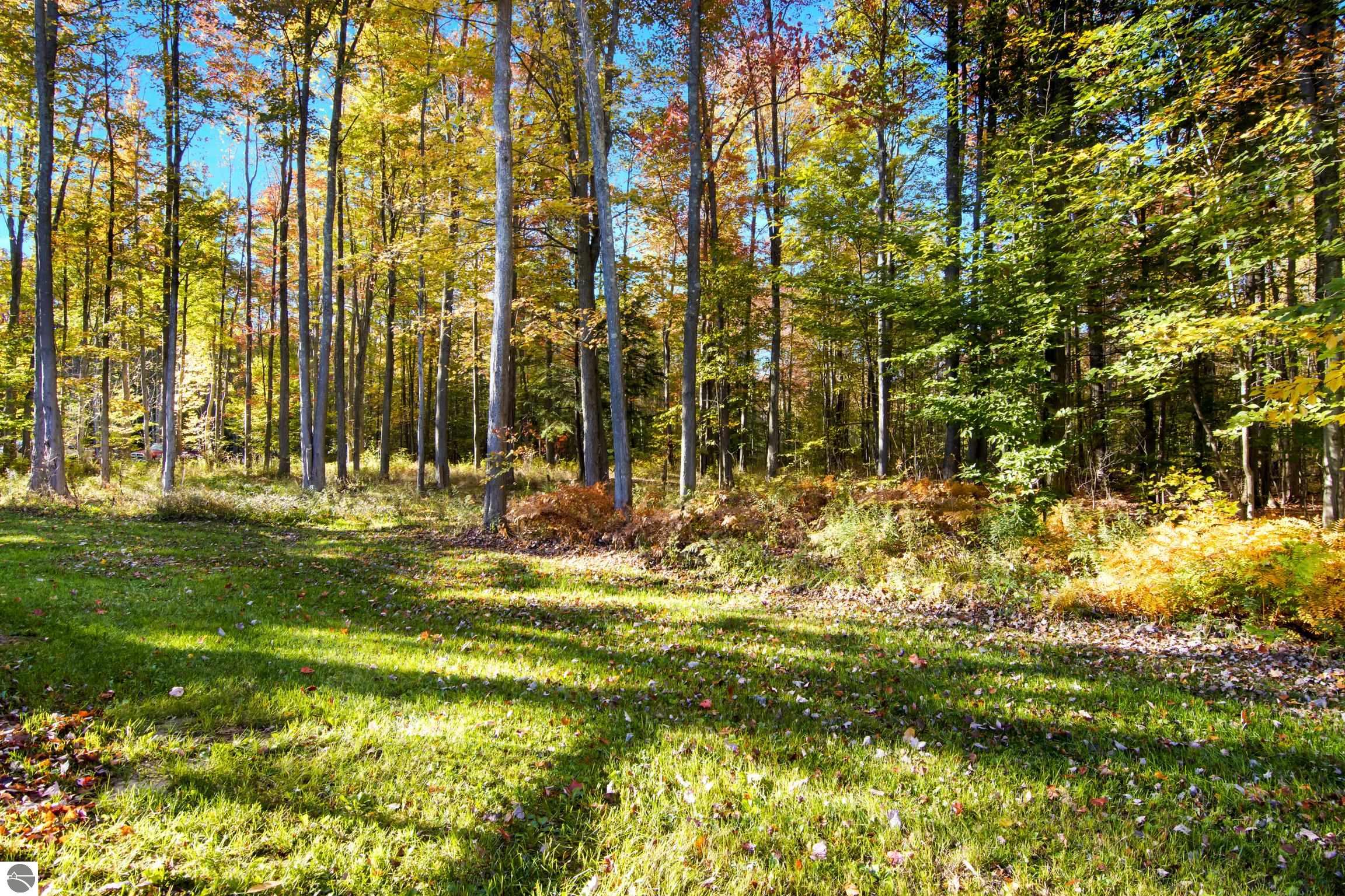 7273 Cadillac Highway