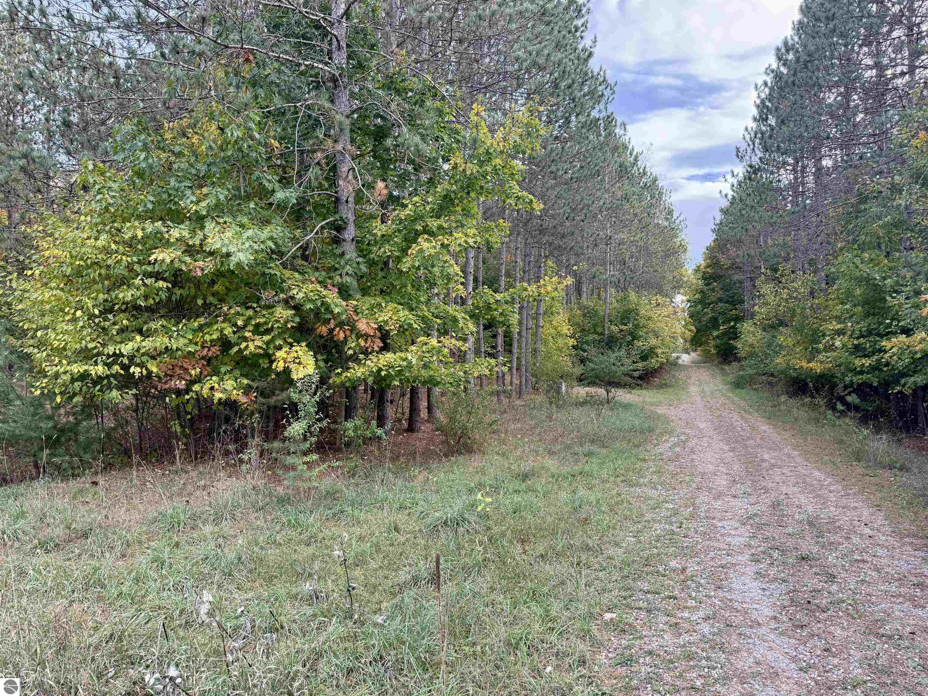 0 Alvinas Trail