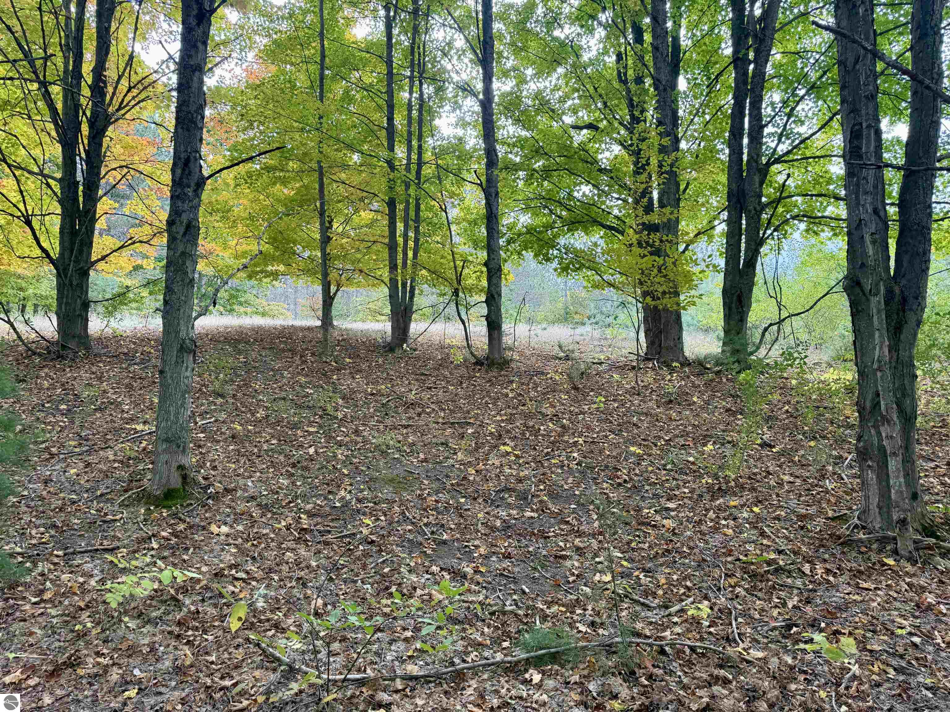 0 Alvinas Trail