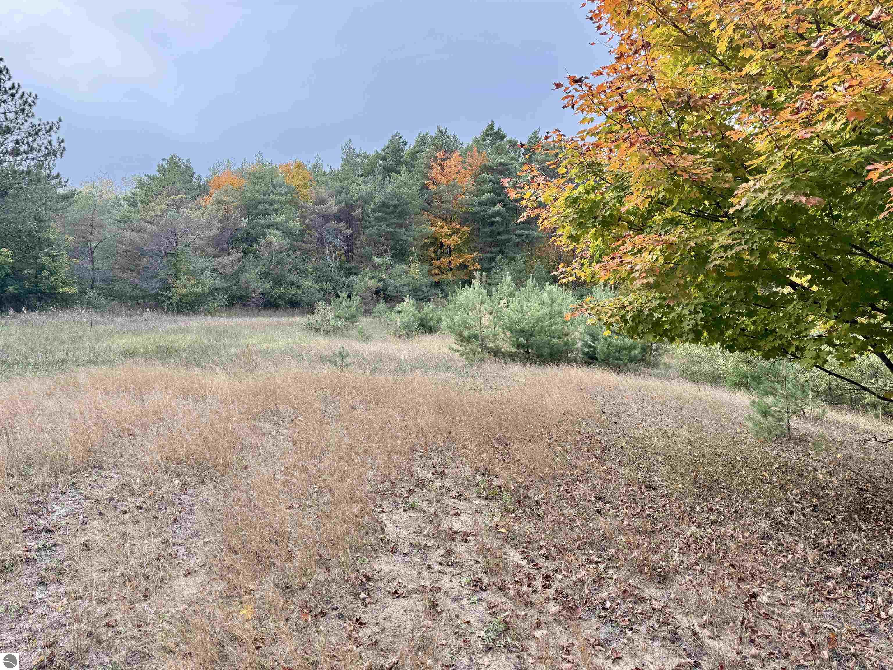 0 Alvinas Trail