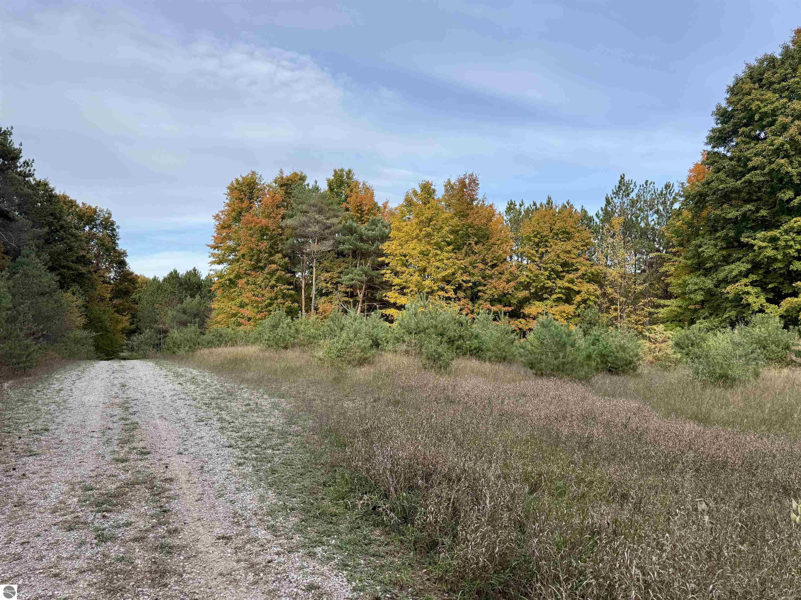 0 Alvinas Trail