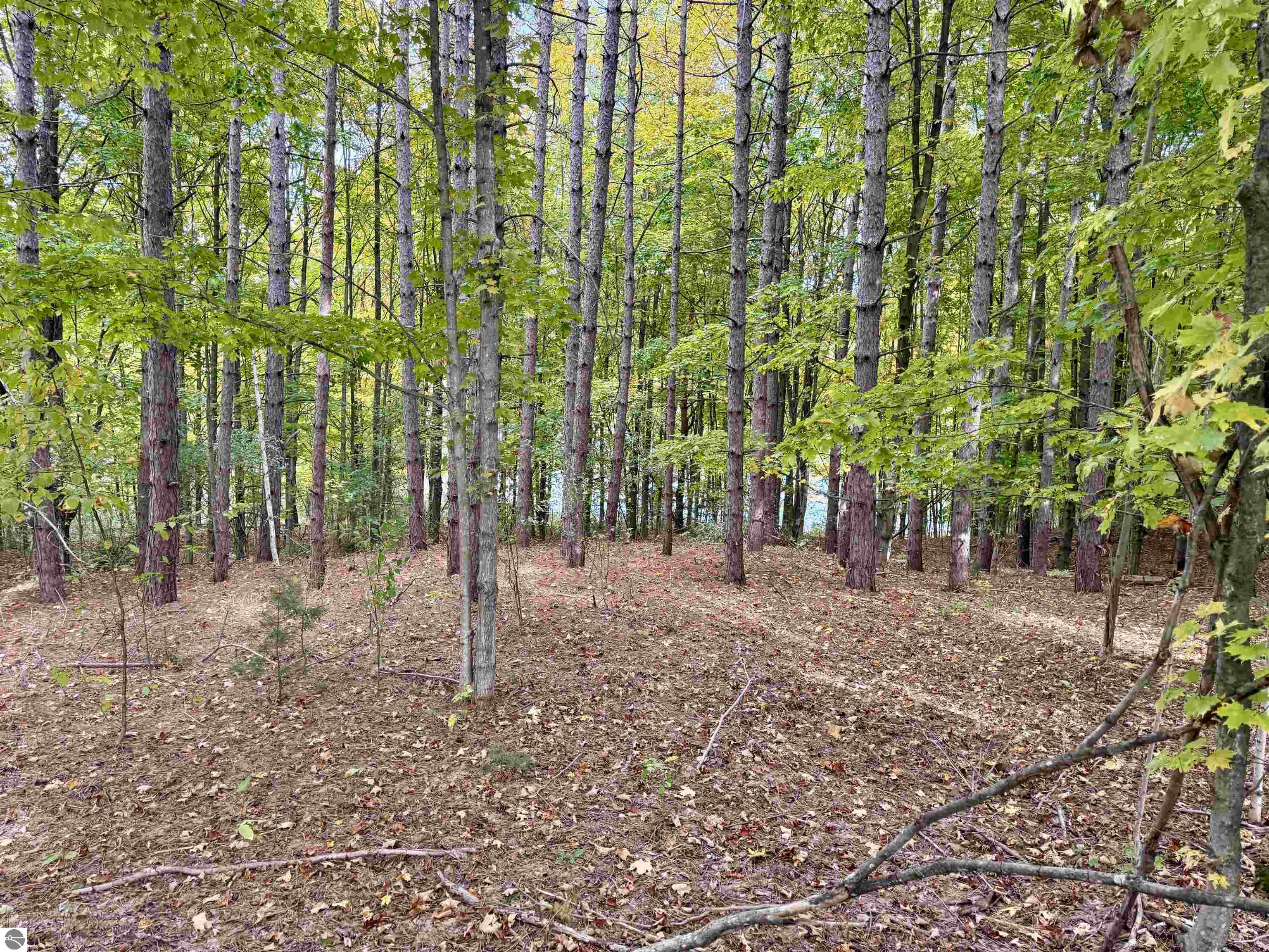 0 Alvinas Trail