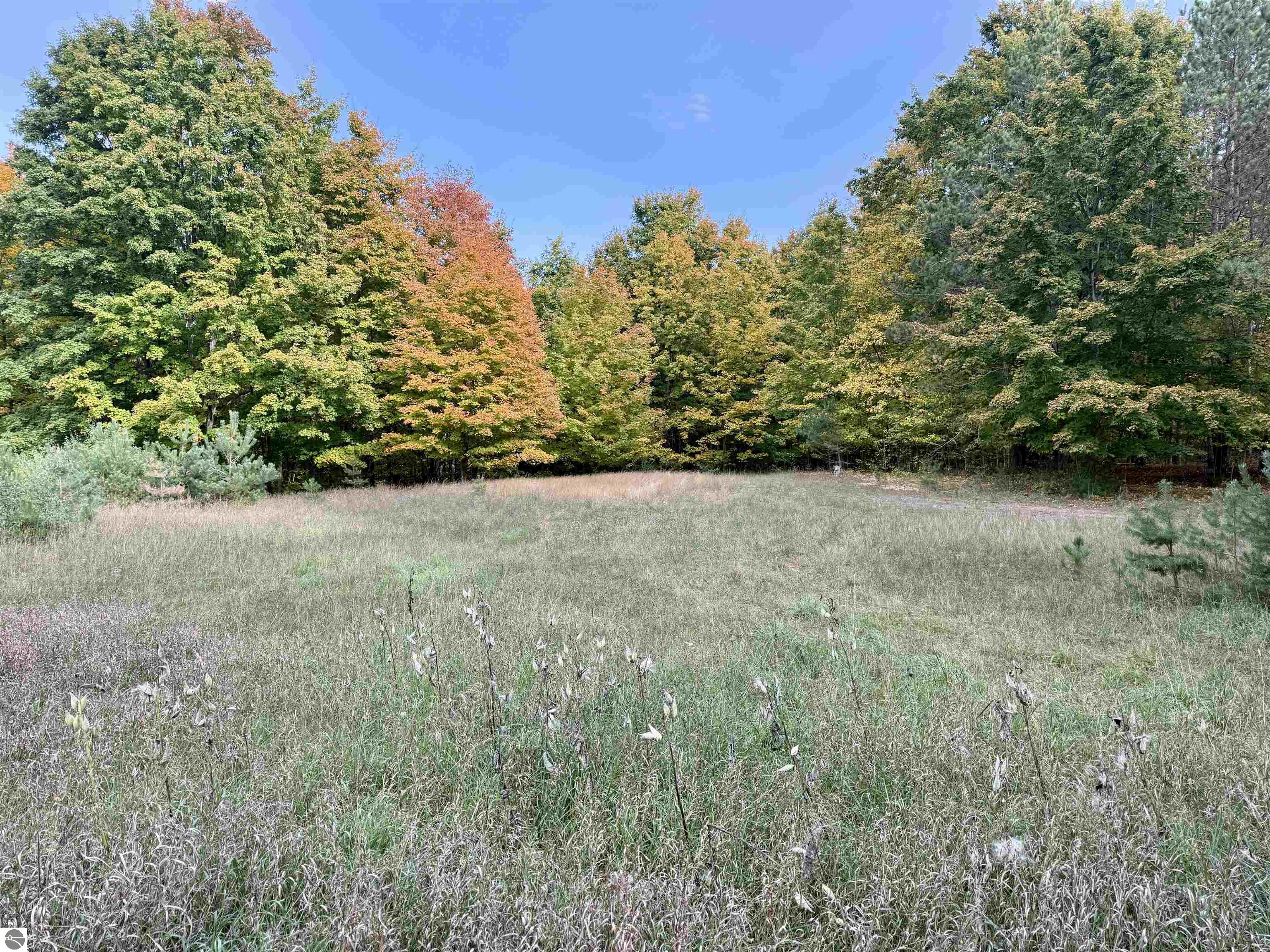 0 Alvinas Trail
