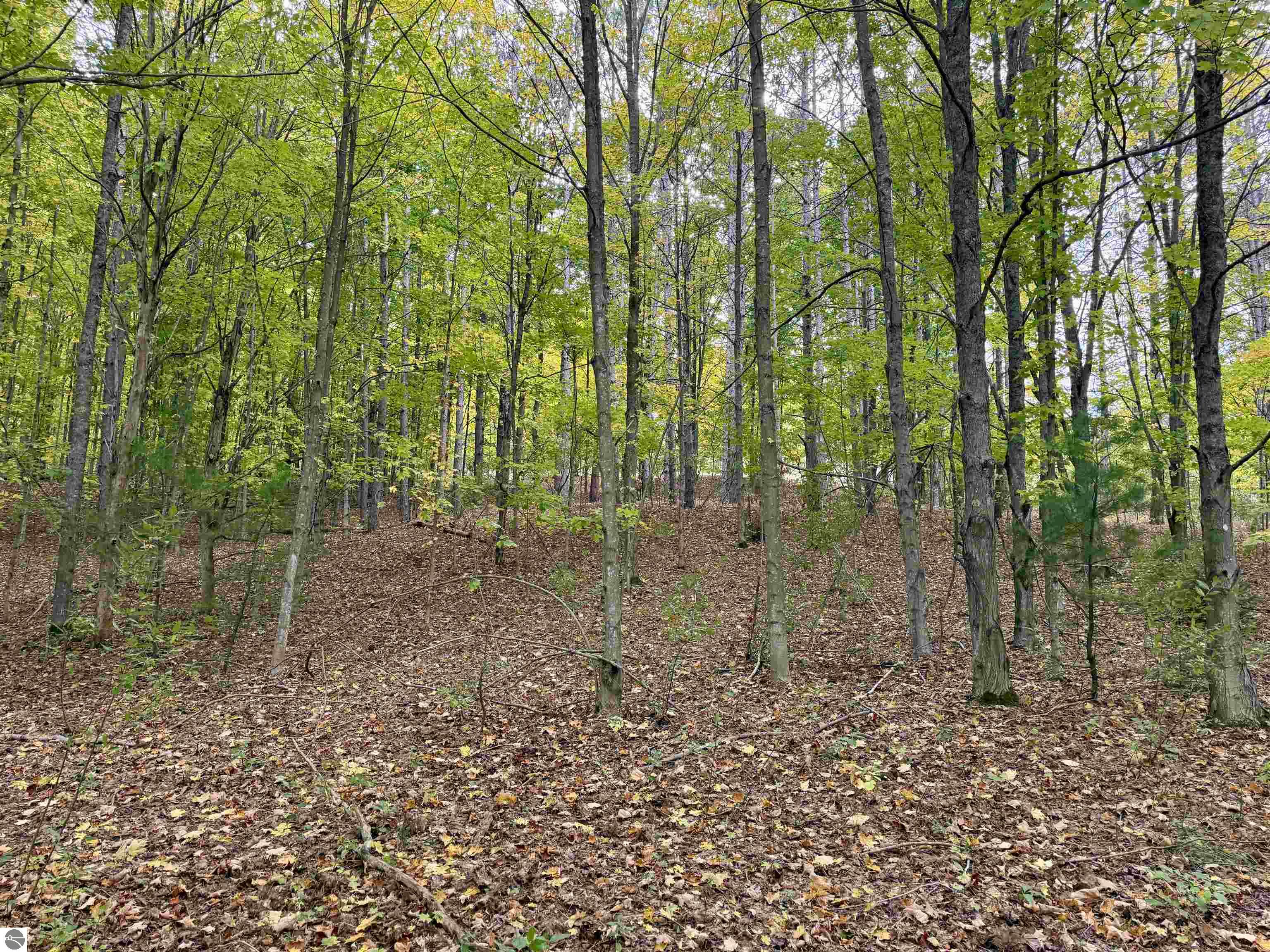 0 Alvinas Trail