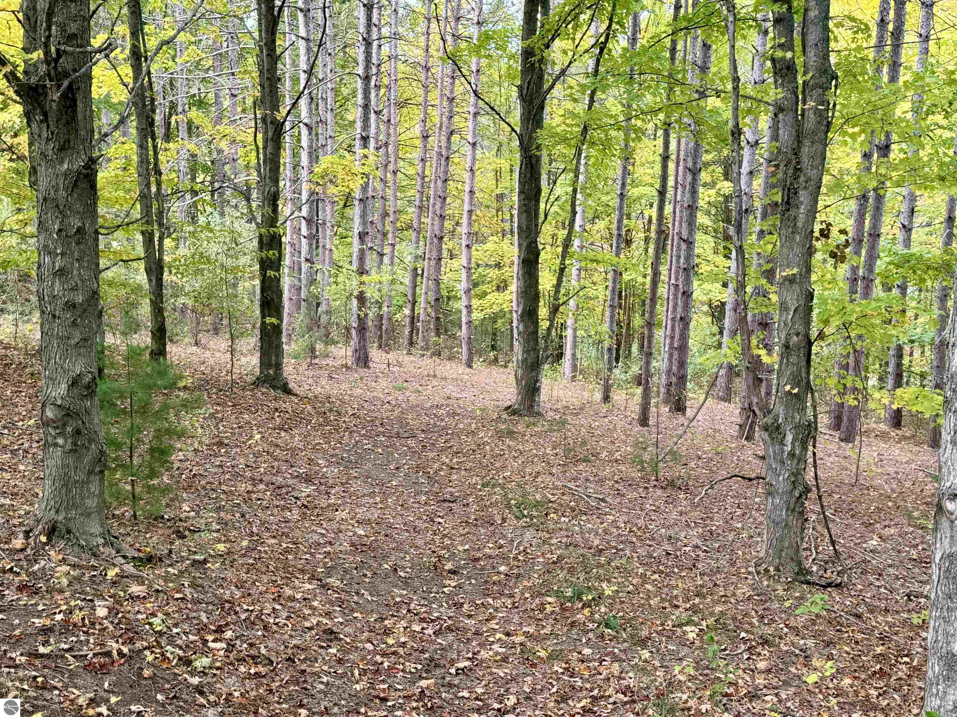 0 Alvinas Trail