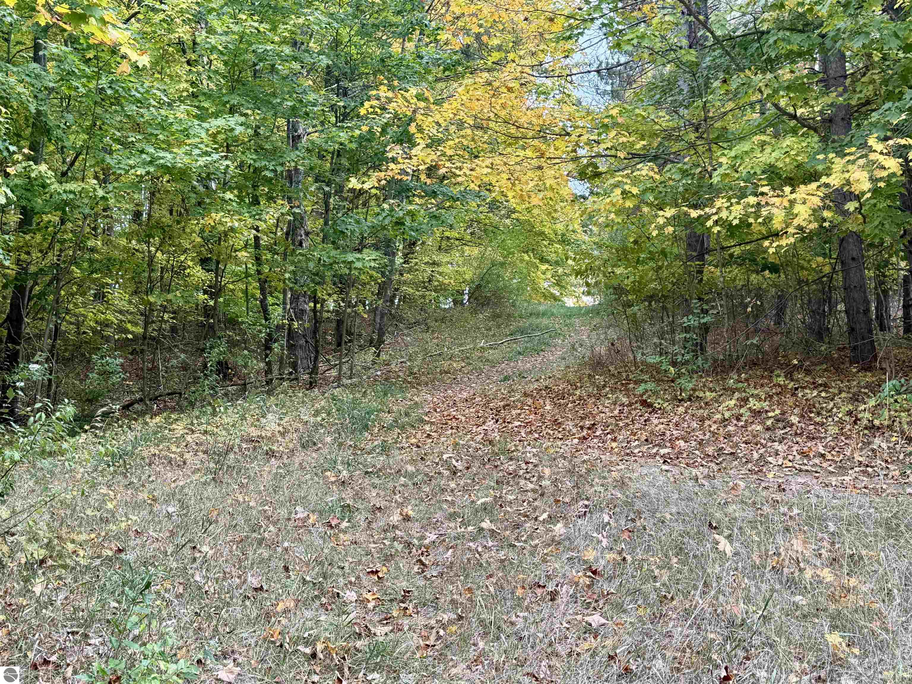 0 Alvinas Trail