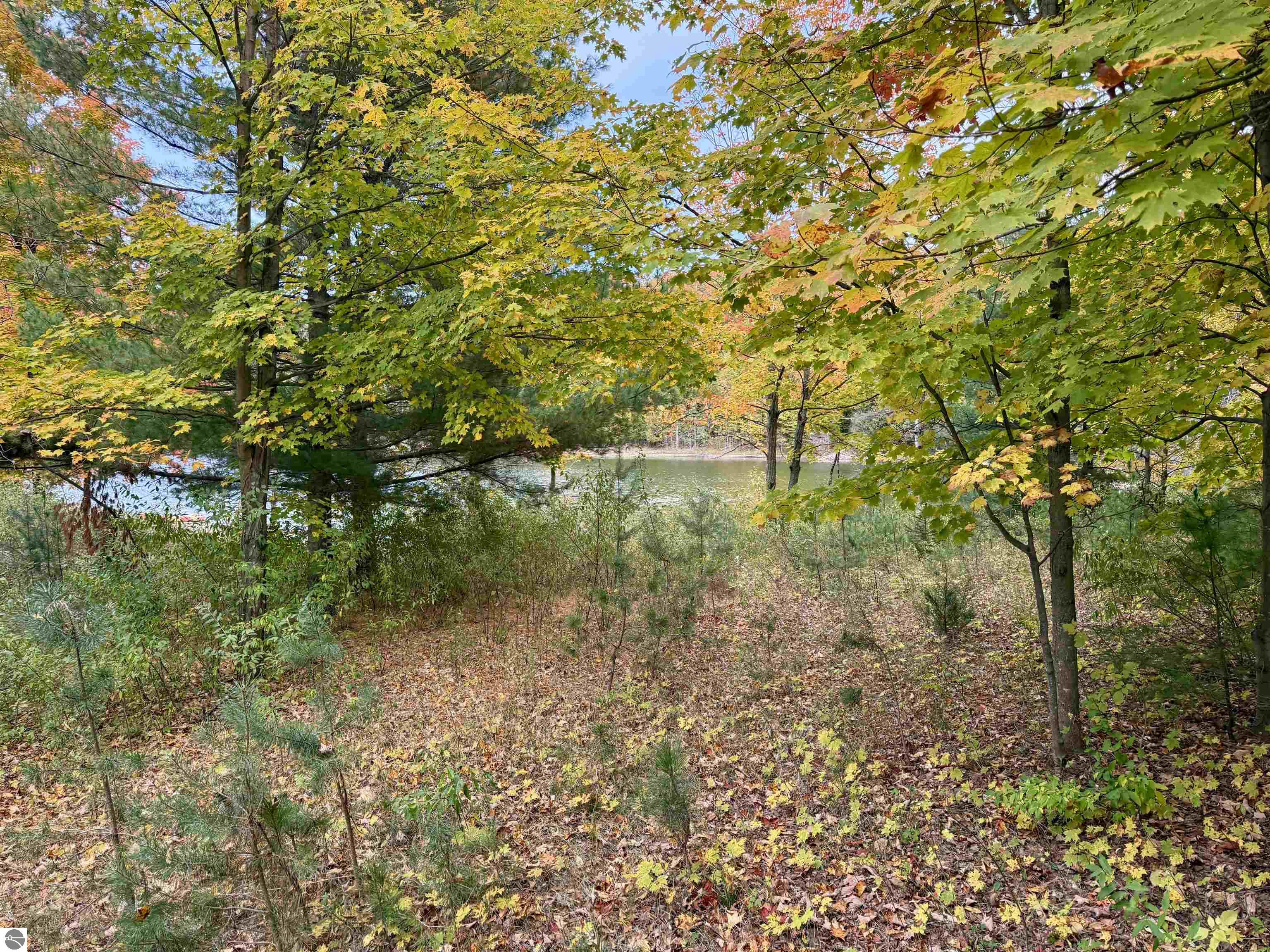 0 Alvinas Trail