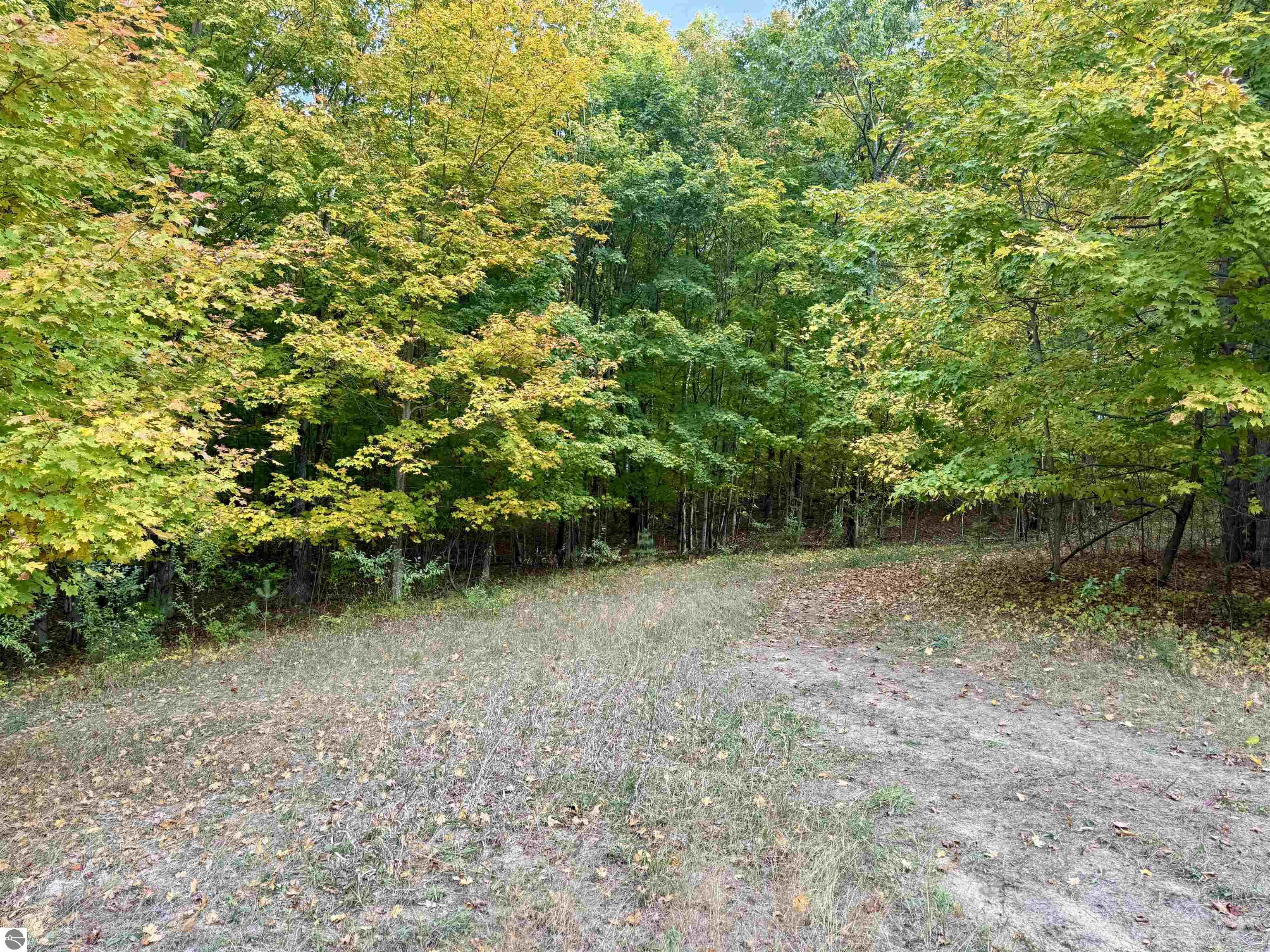 0 Alvinas Trail