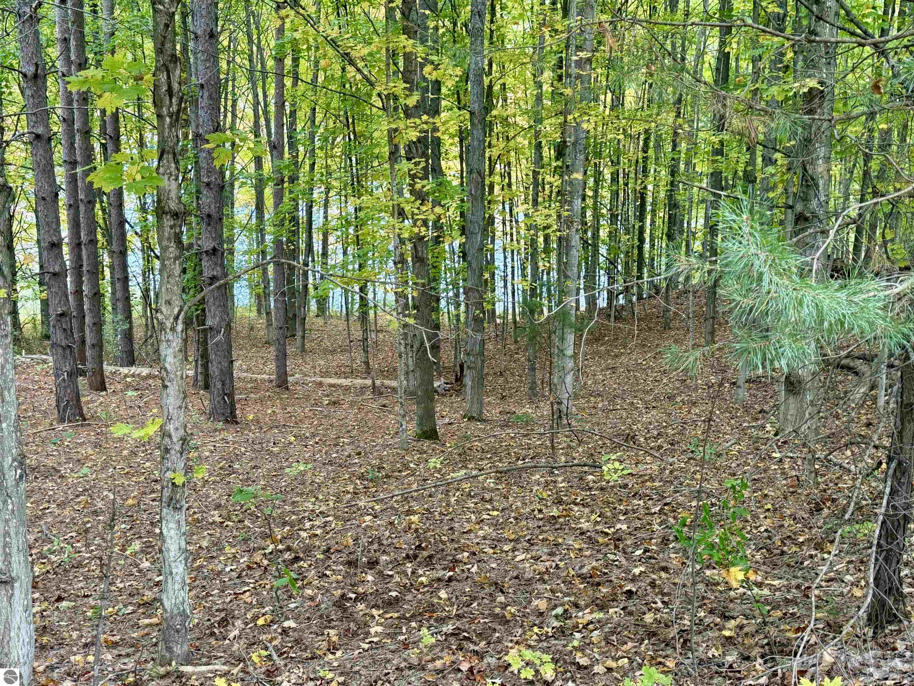 0 Alvinas Trail