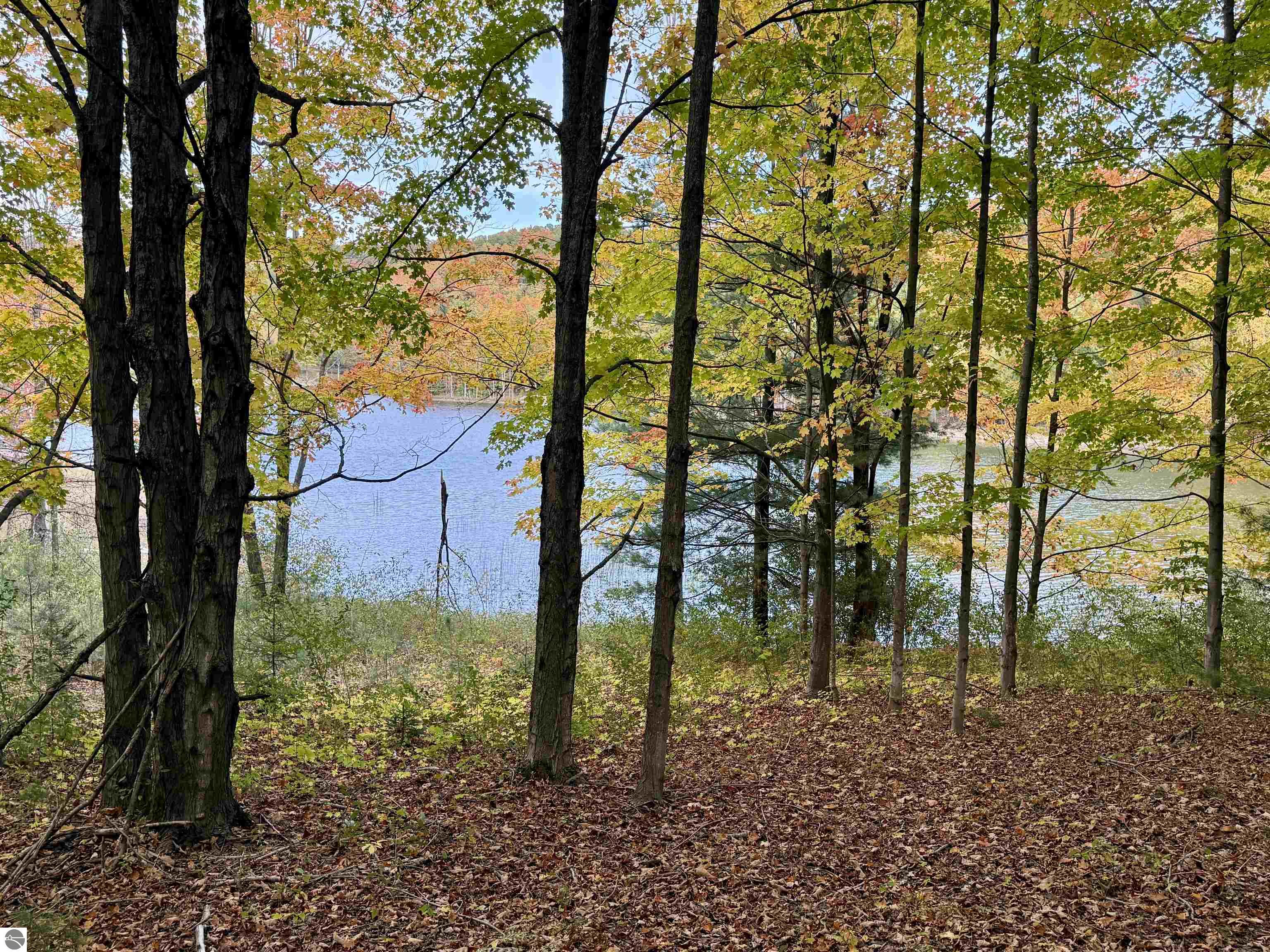 0 Alvinas Trail