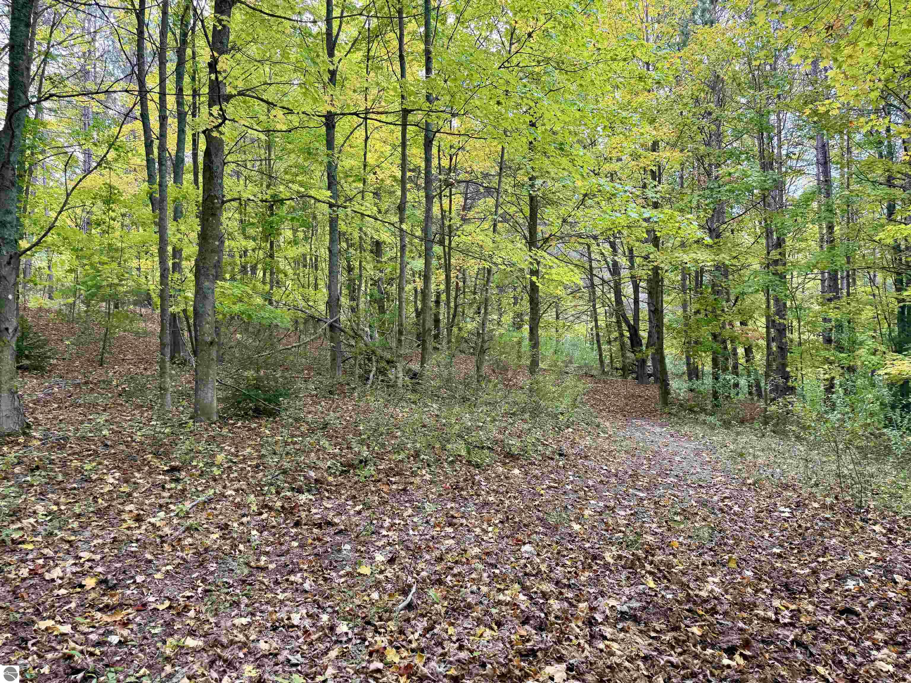 0 Alvinas Trail