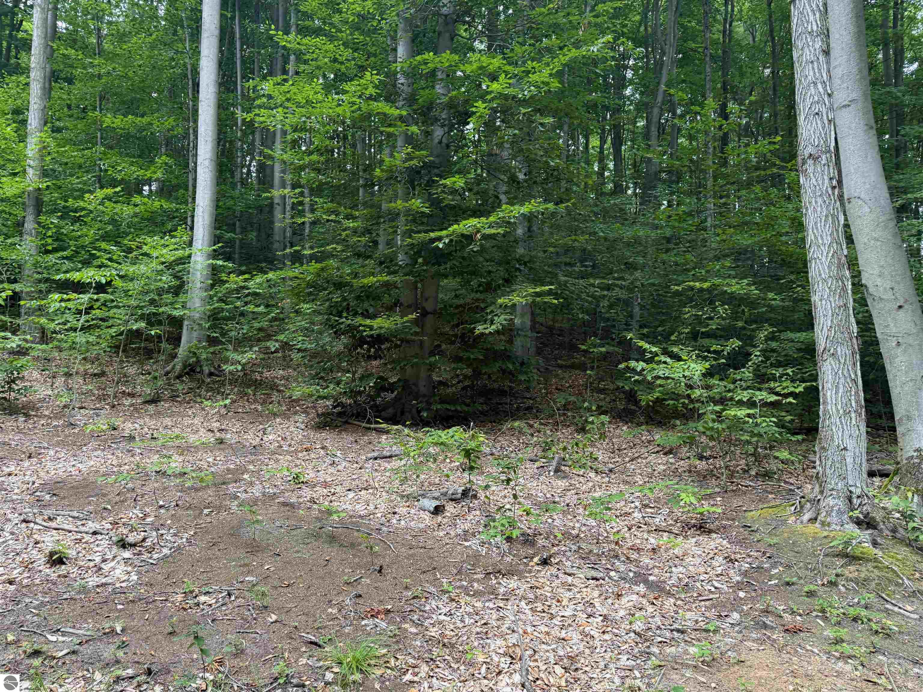 00000 S Bridle Trail