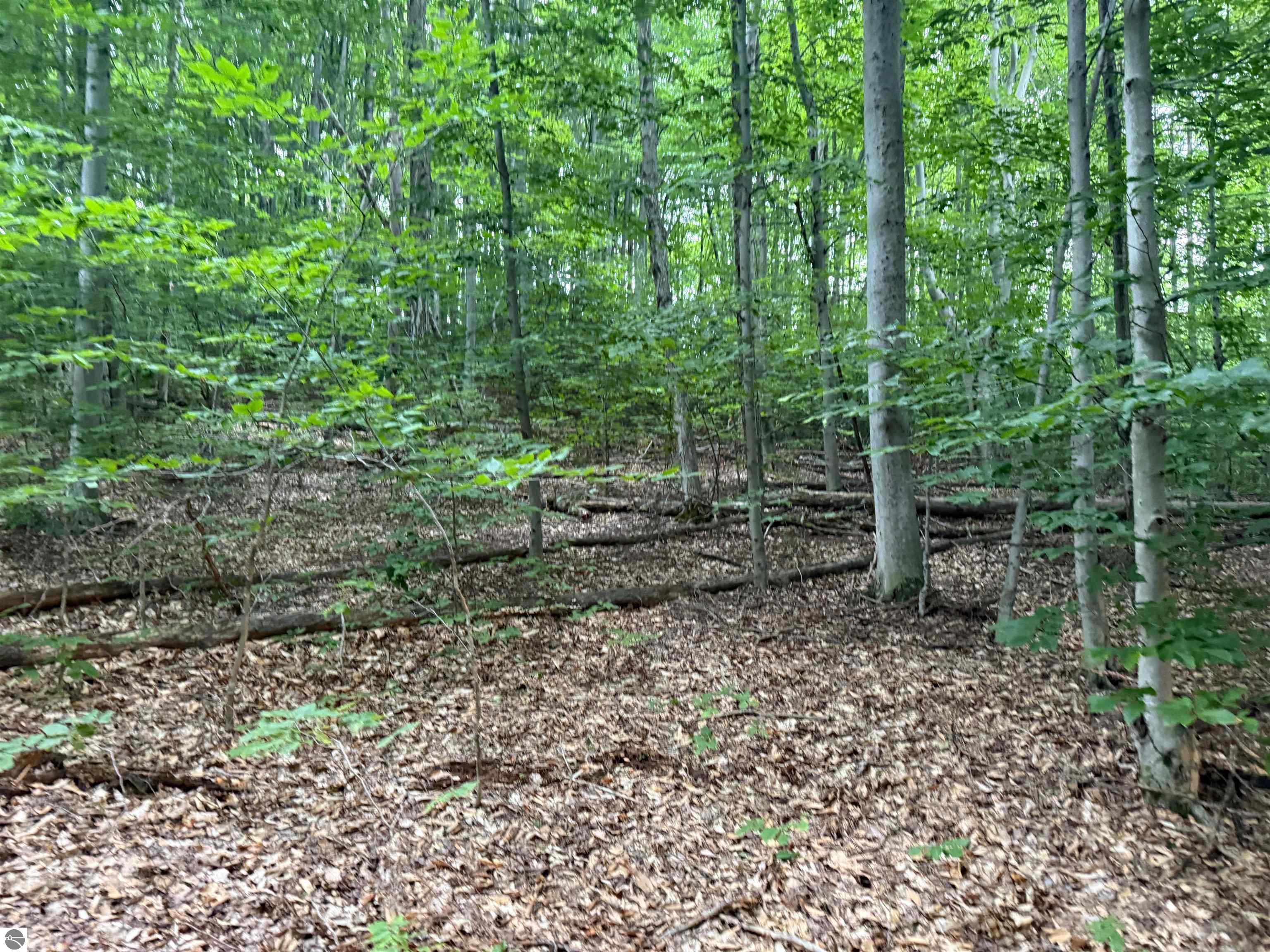 00000 S Bridle Trail