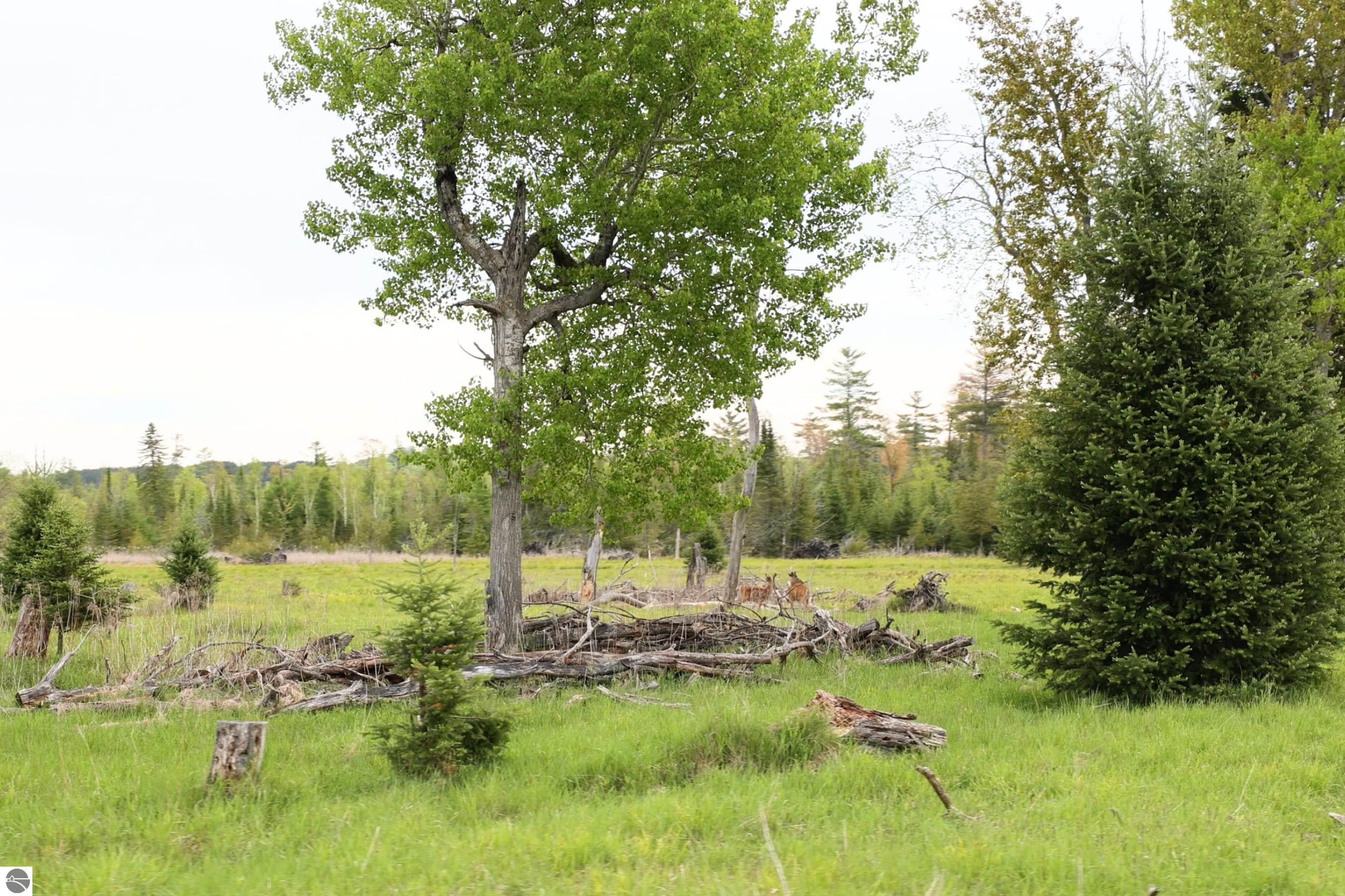 8401 S Sullivan Road