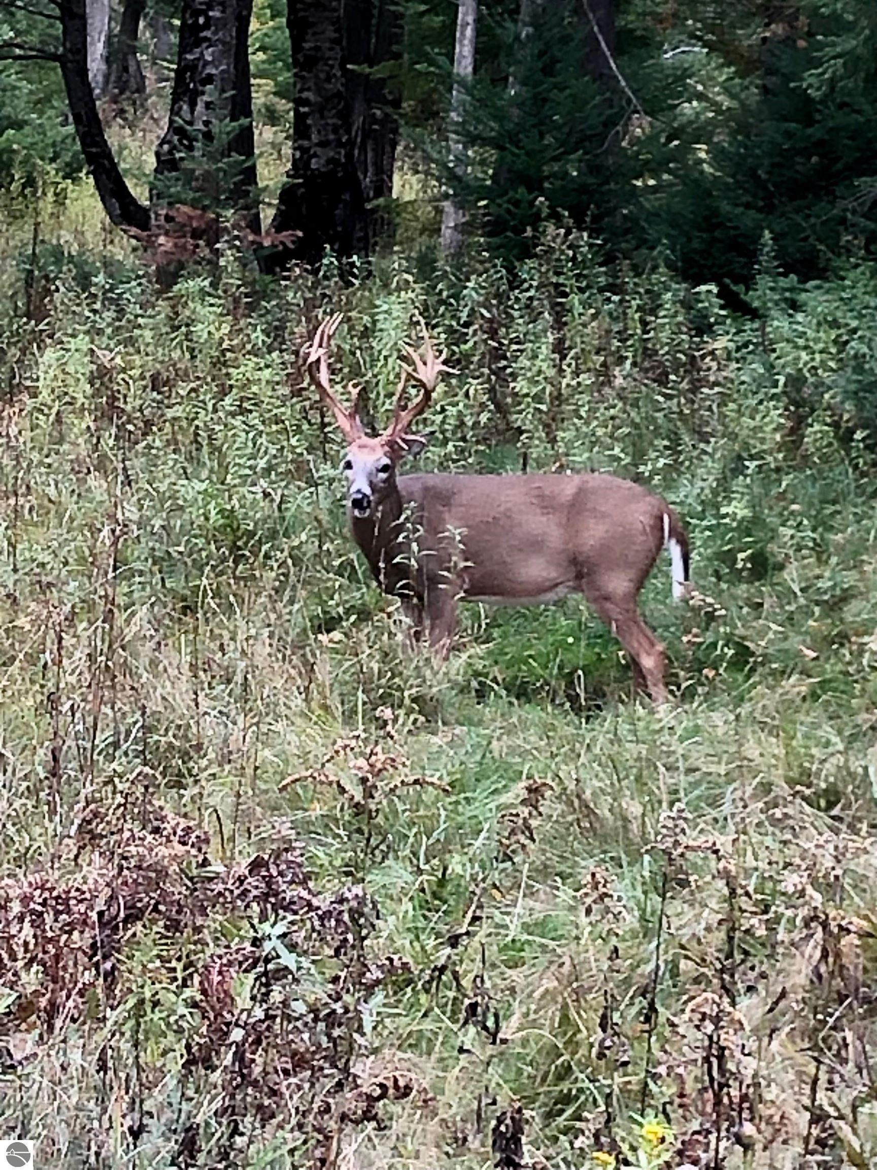 8401 S Sullivan Road