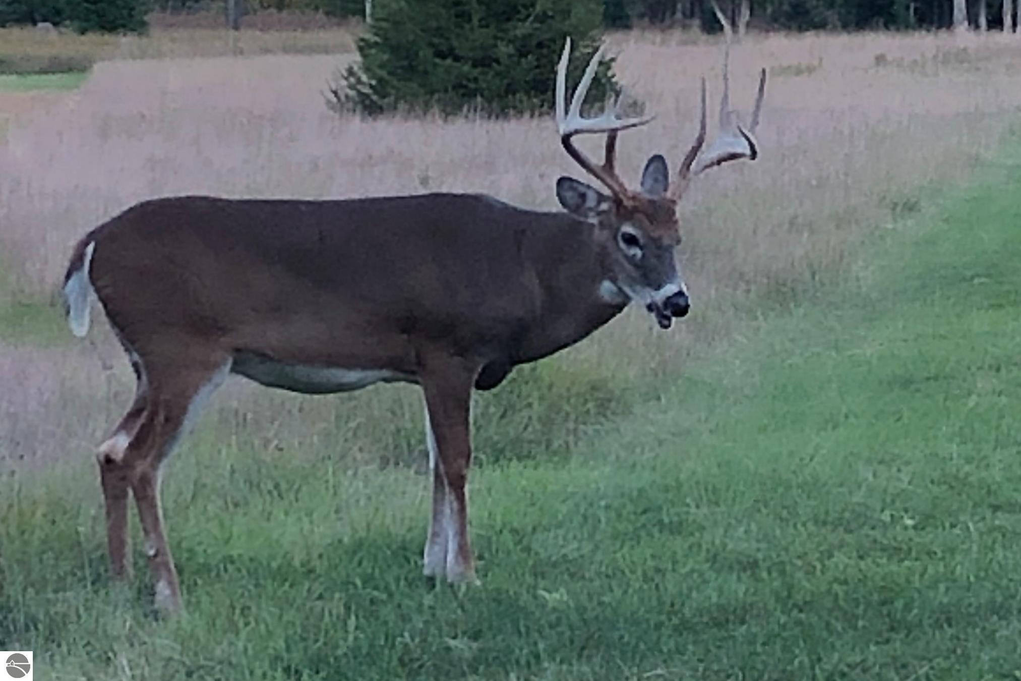 8401 S Sullivan Road