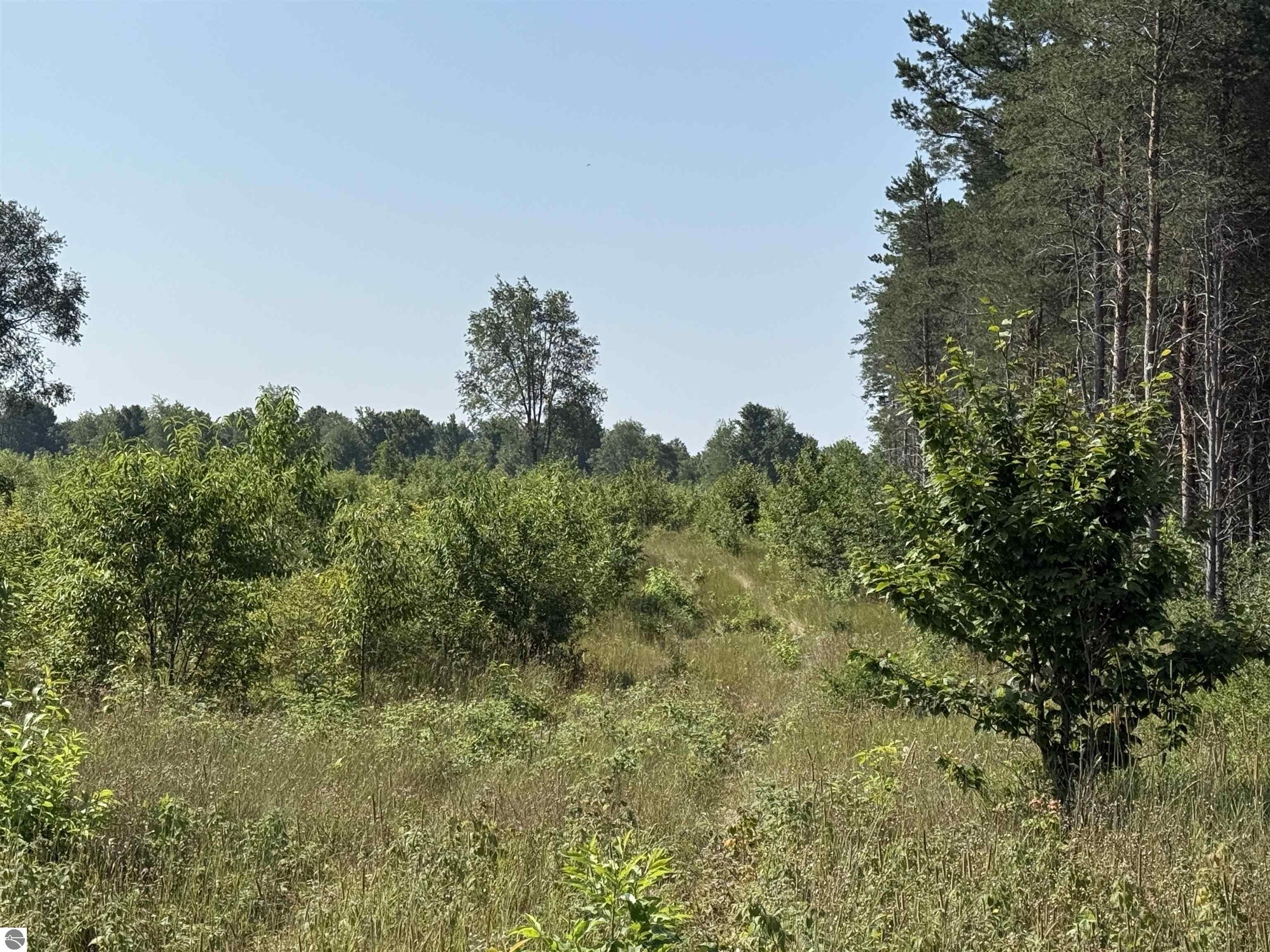 Parcel A1 E Kasson Road