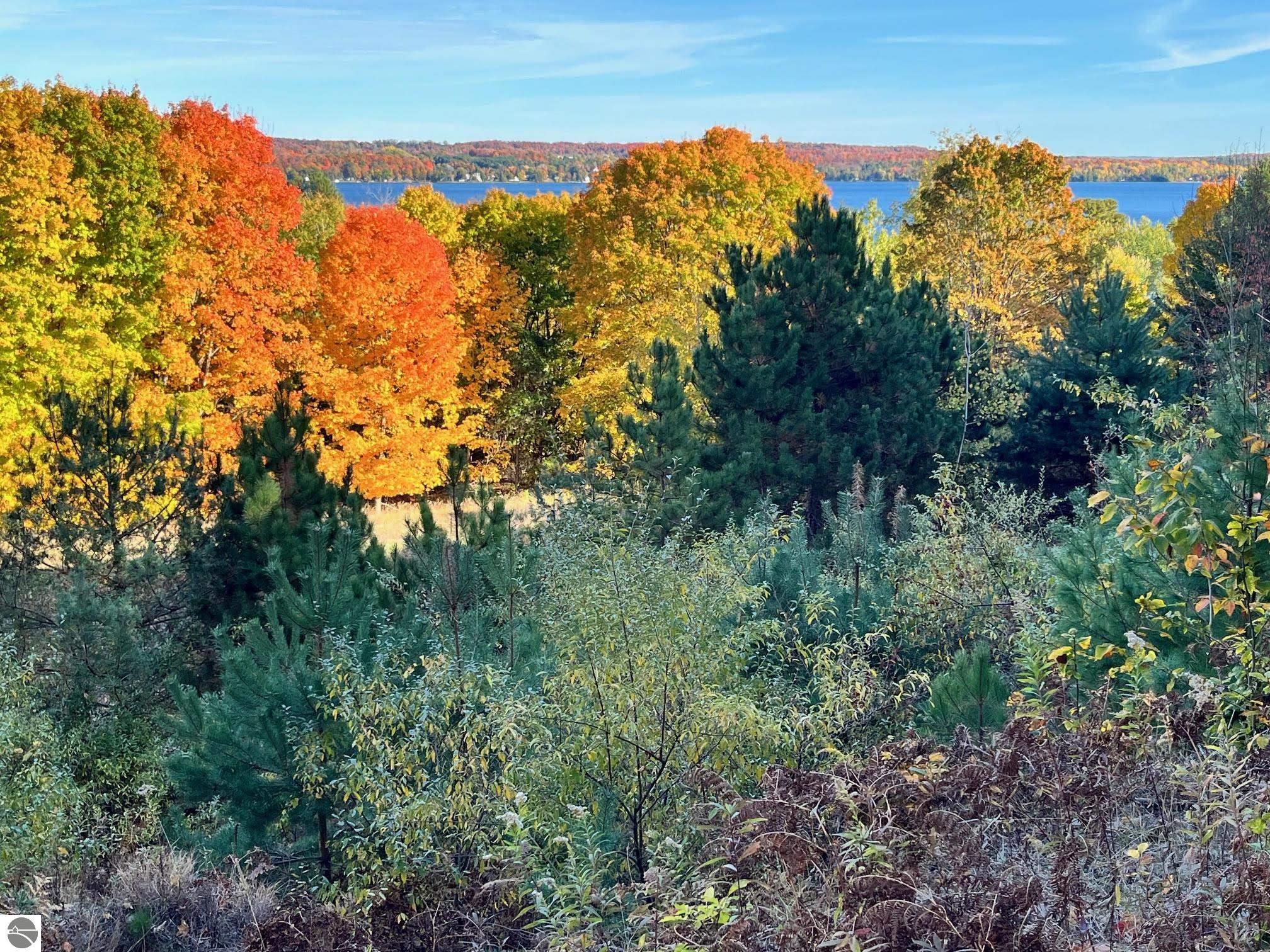 E Hidden Beech Drive