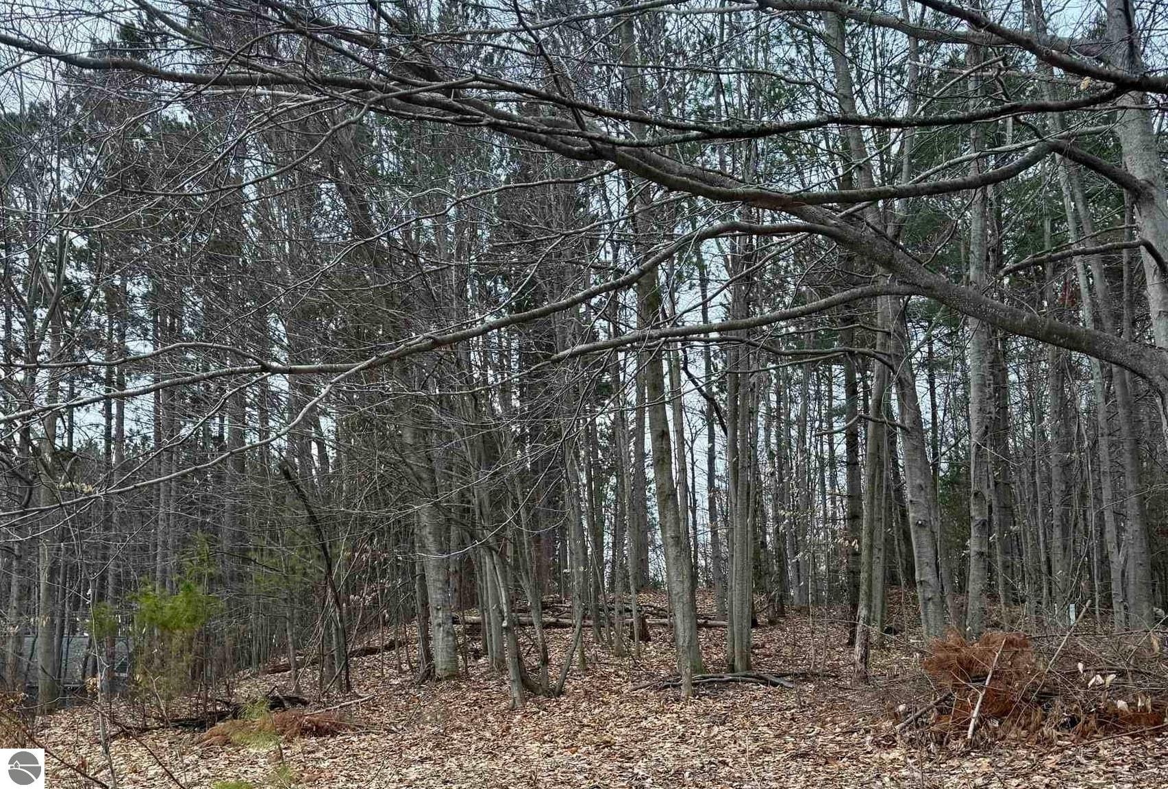 E Hidden Beech Drive