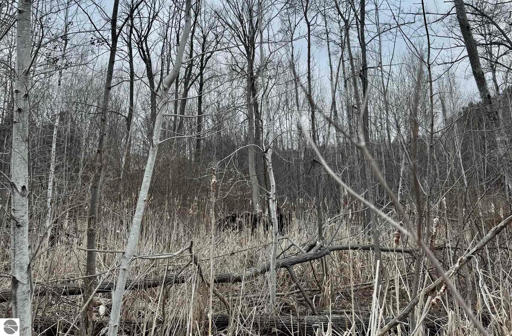 00 S Lake Shore Drive