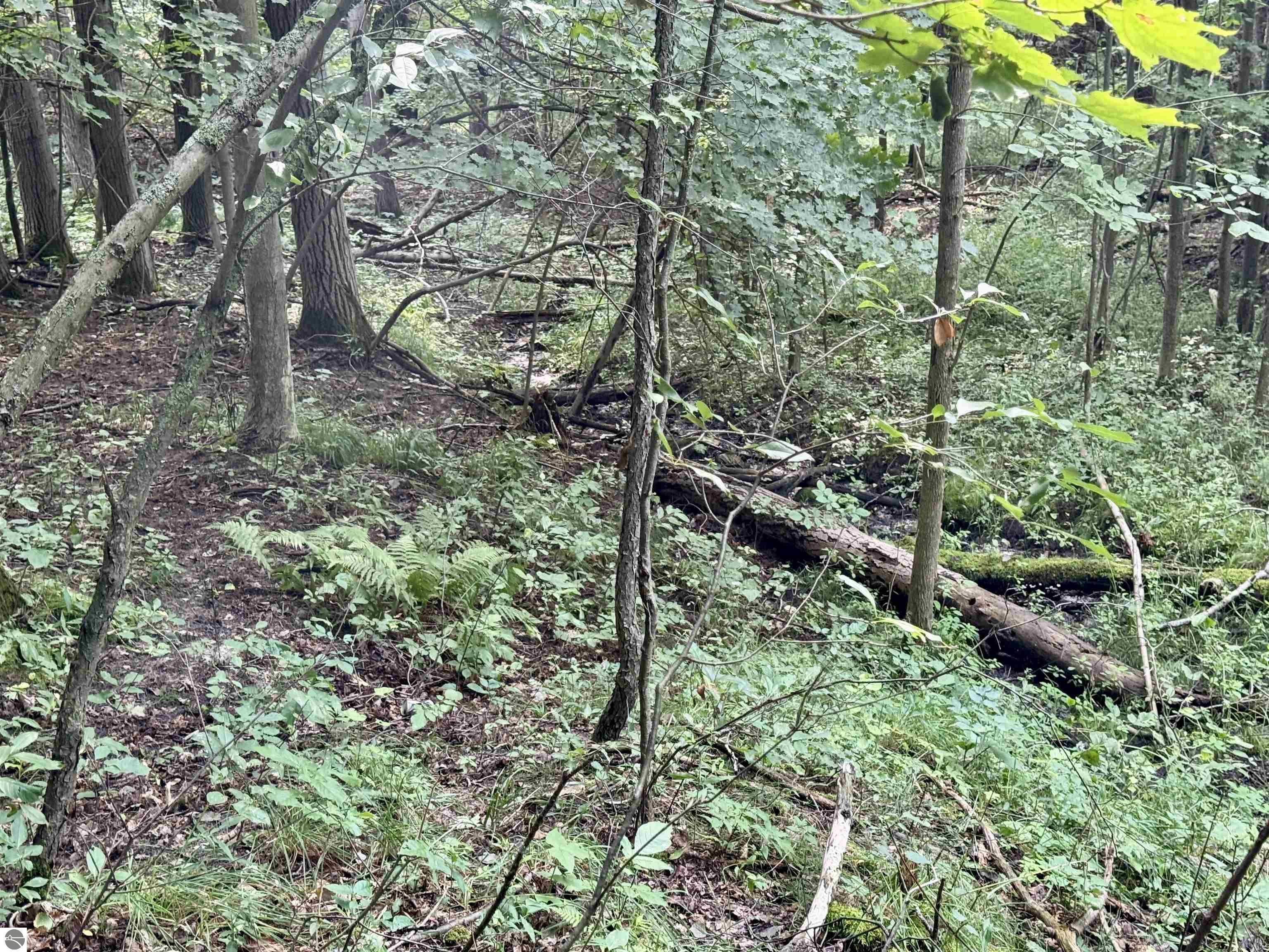 0000 W Empire Highway