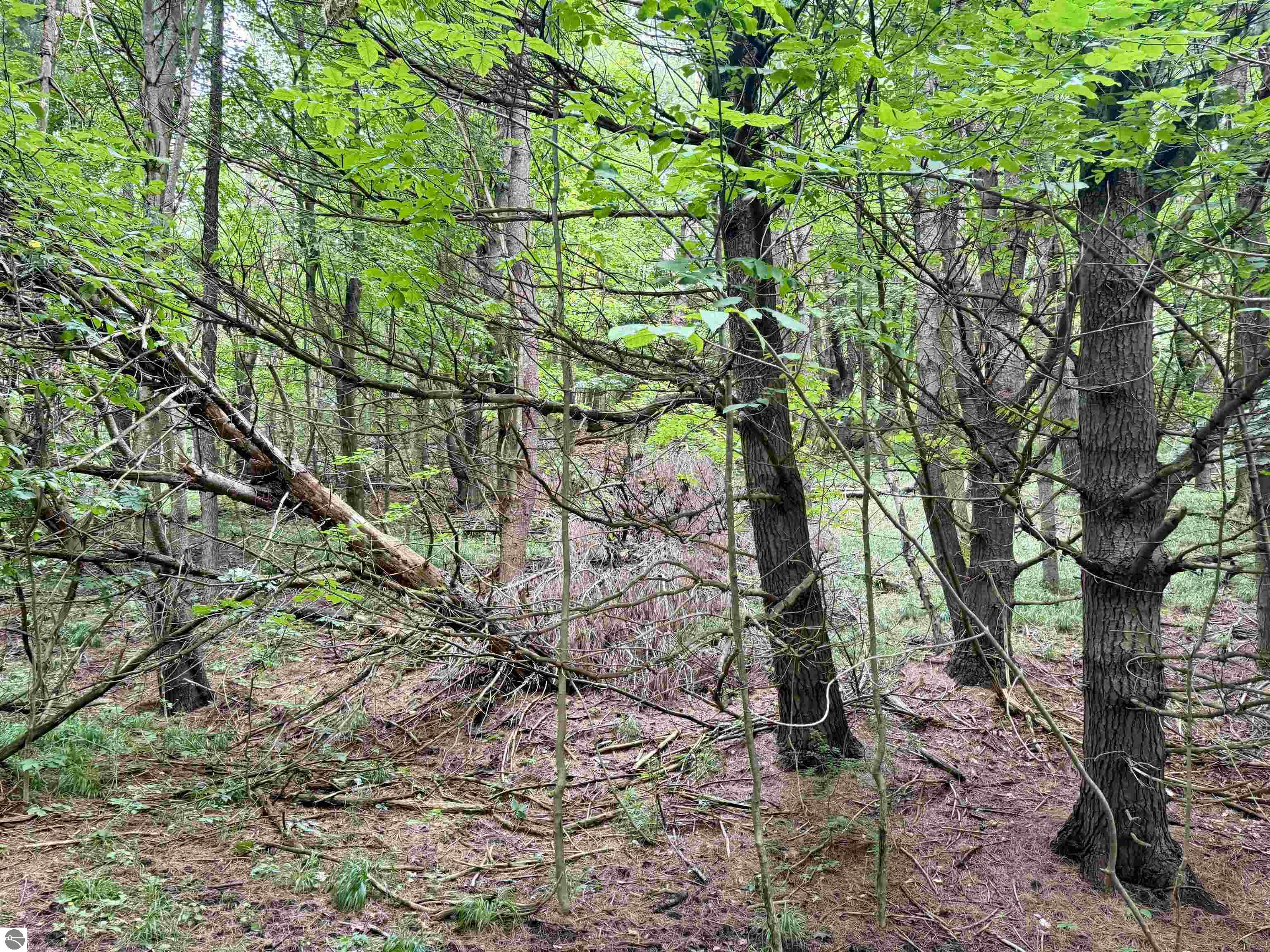 0000 W Empire Highway