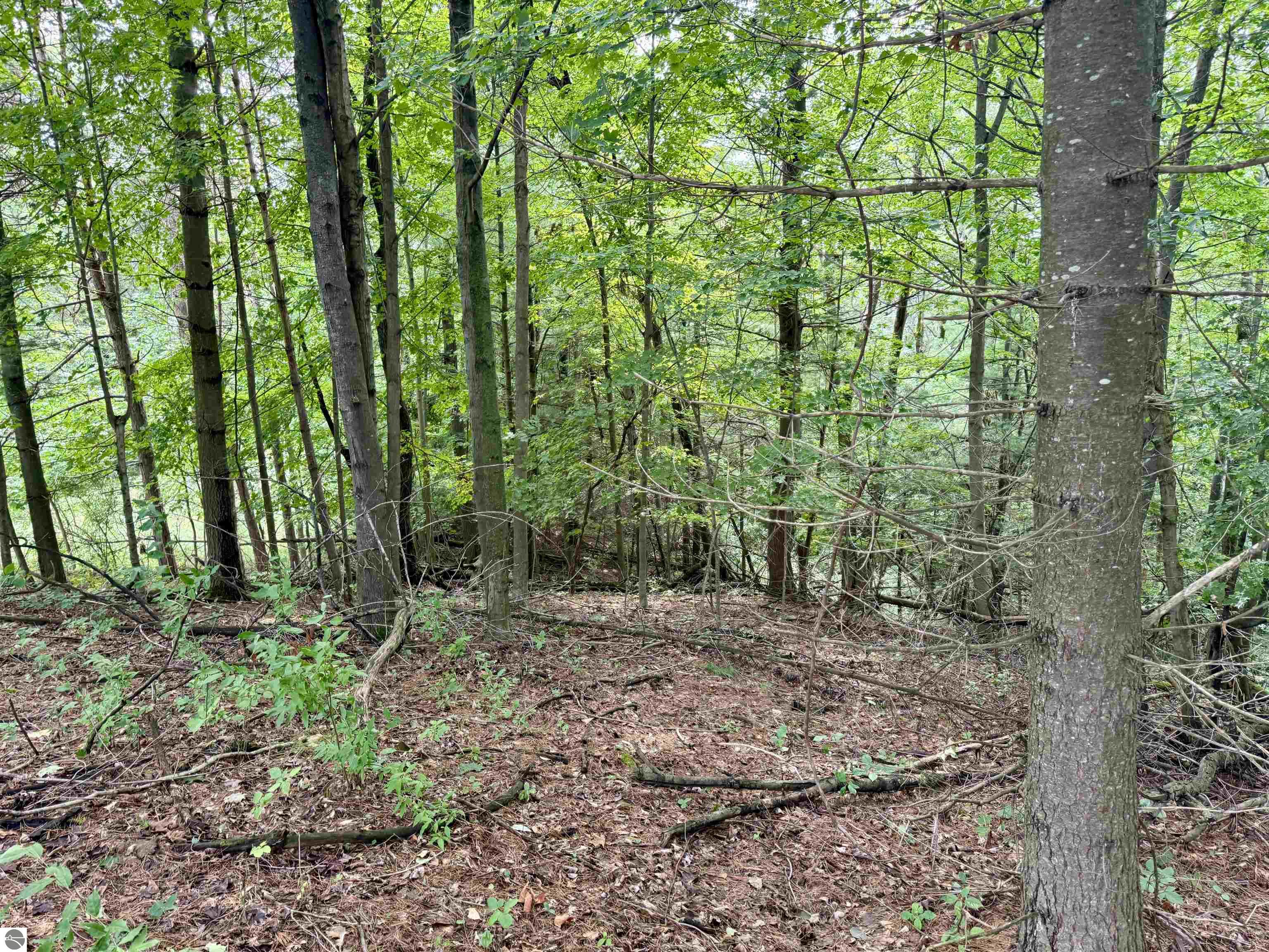 0000 W Empire Highway