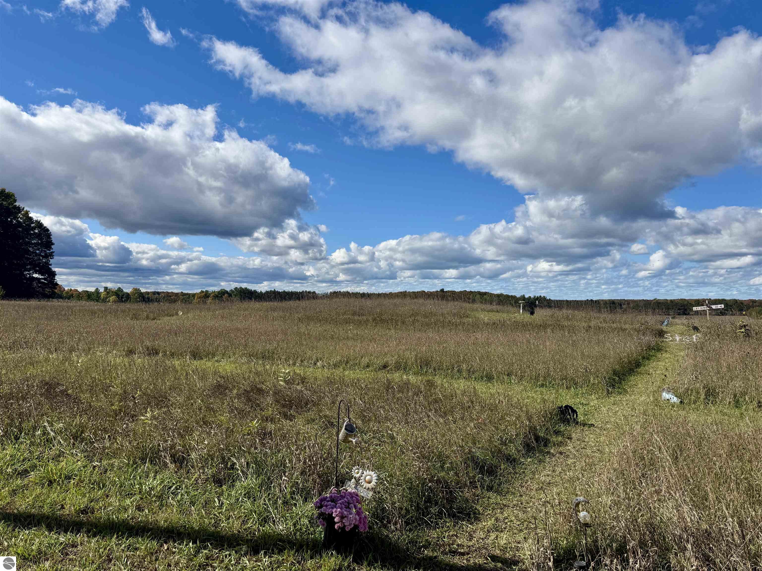 8320 Ole White Drive