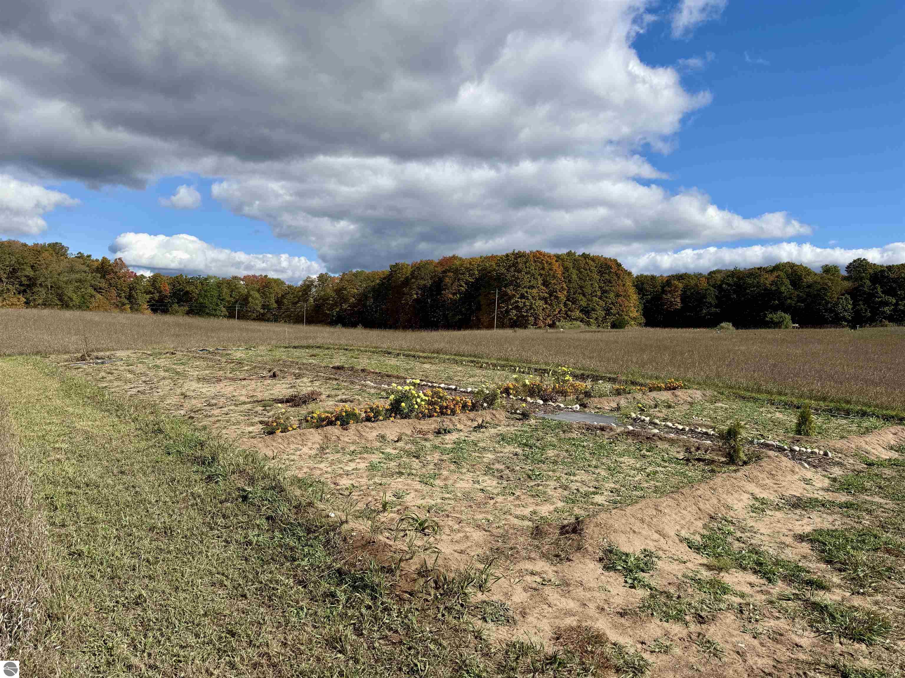 8320 Ole White Drive