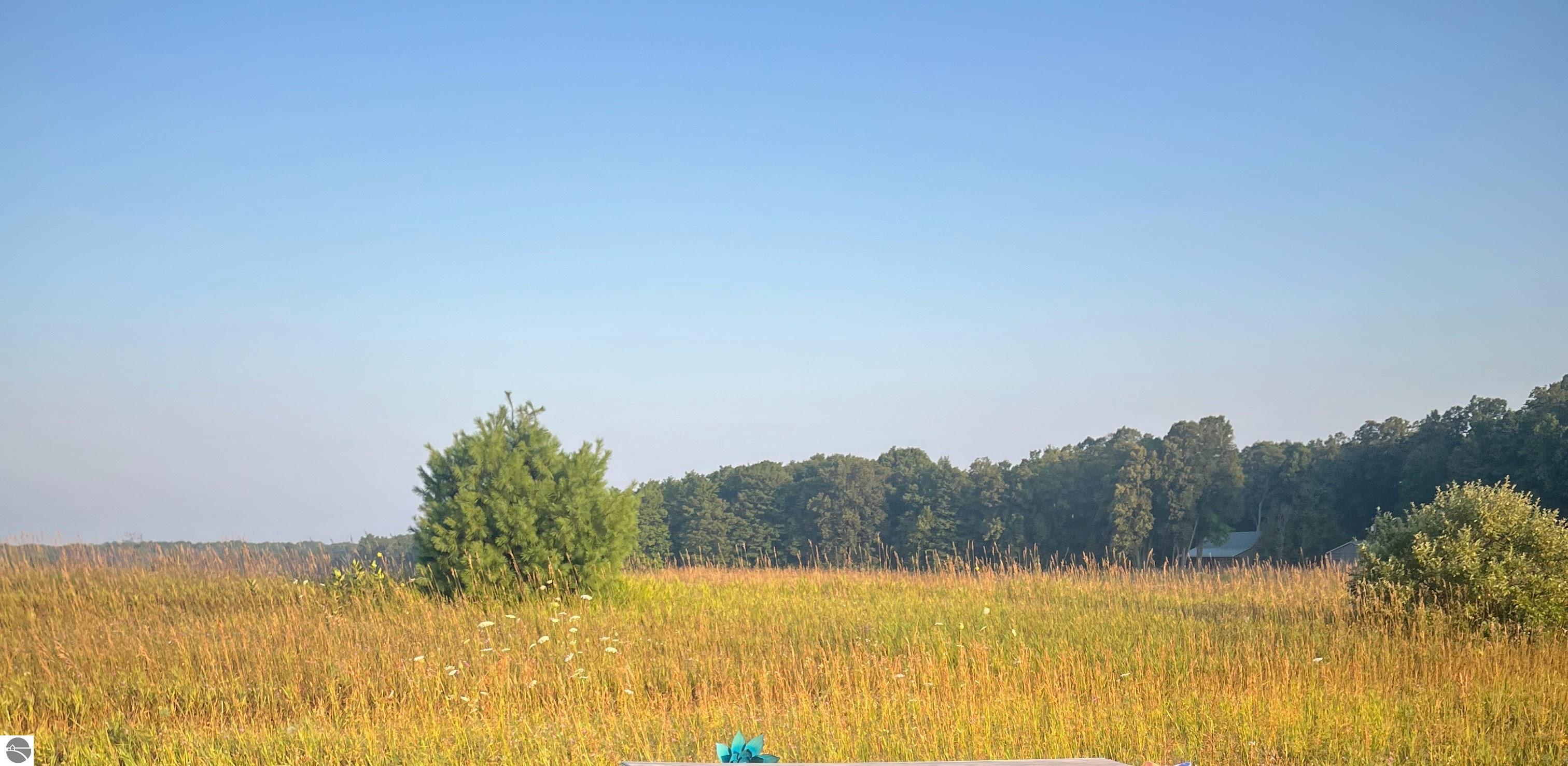 8320 Ole White Drive