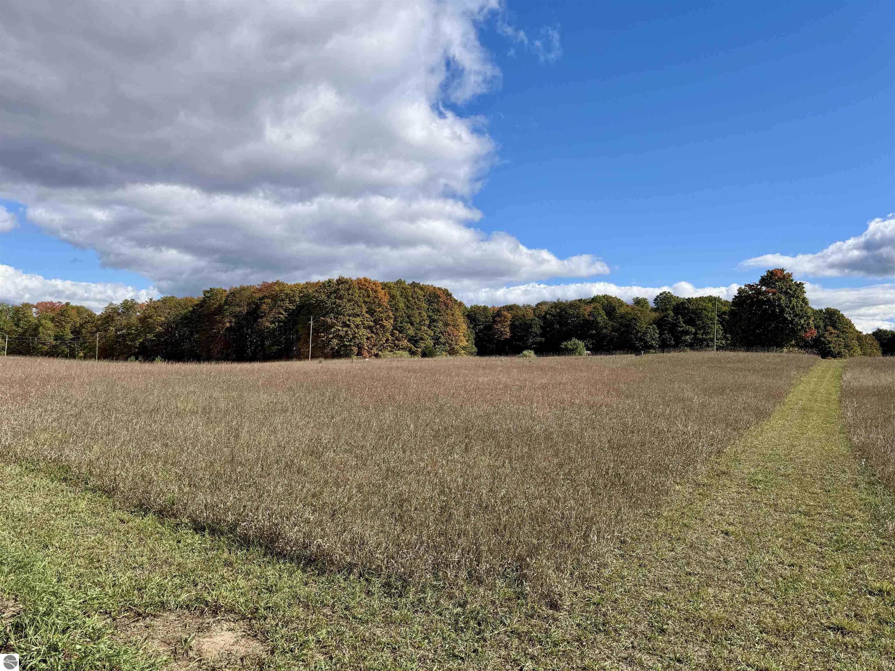 8320 Ole White Drive