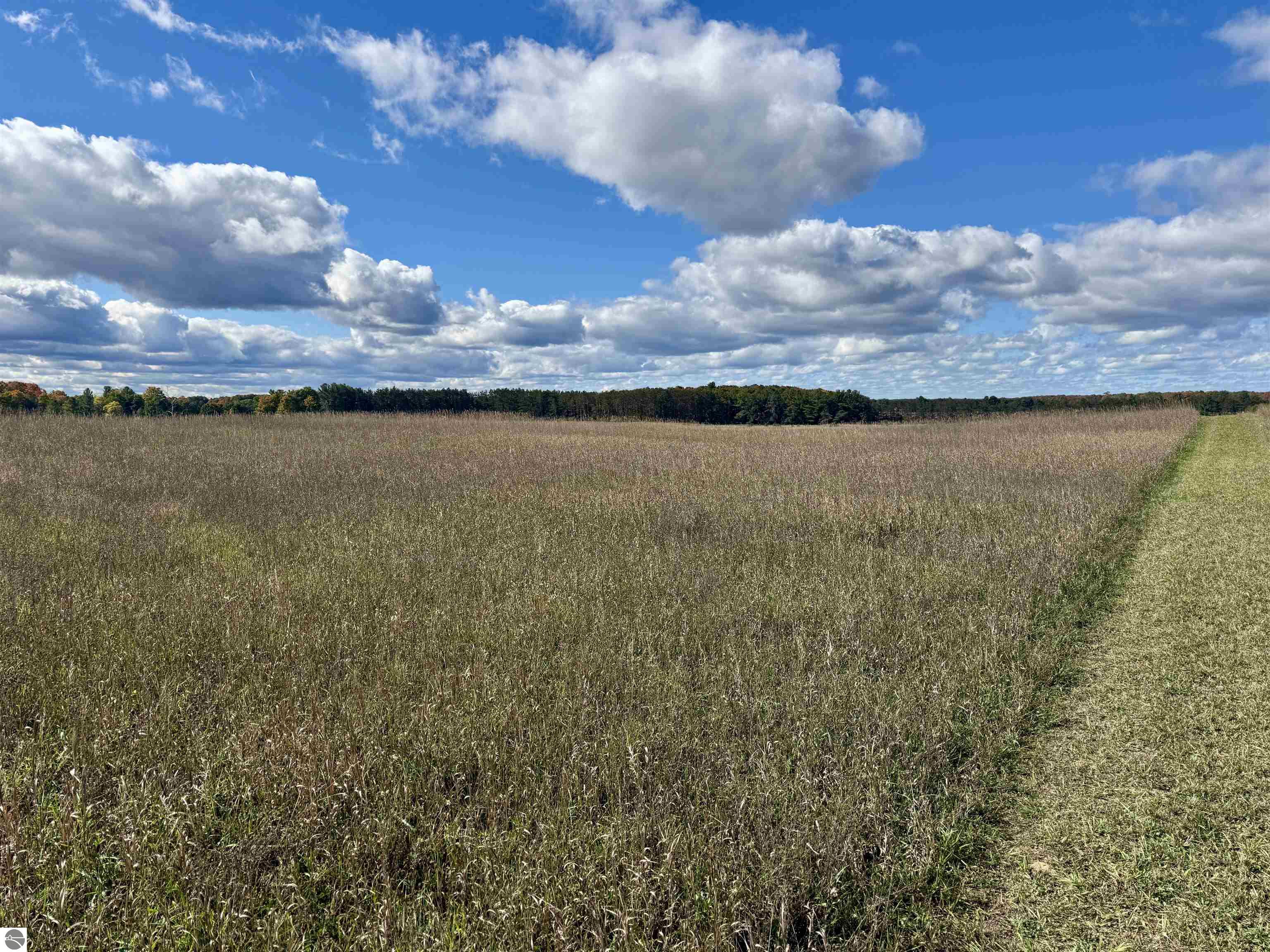 8320 Ole White Drive