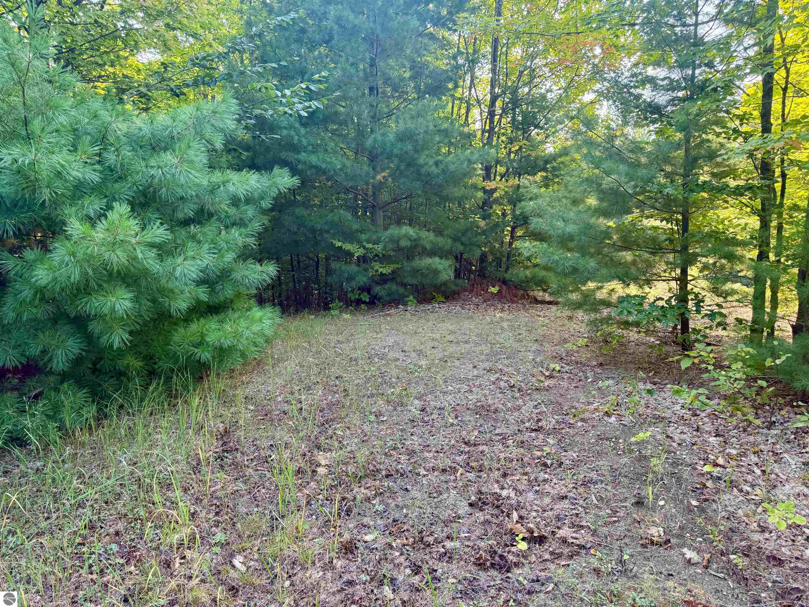 0 W Timber Wolf Court