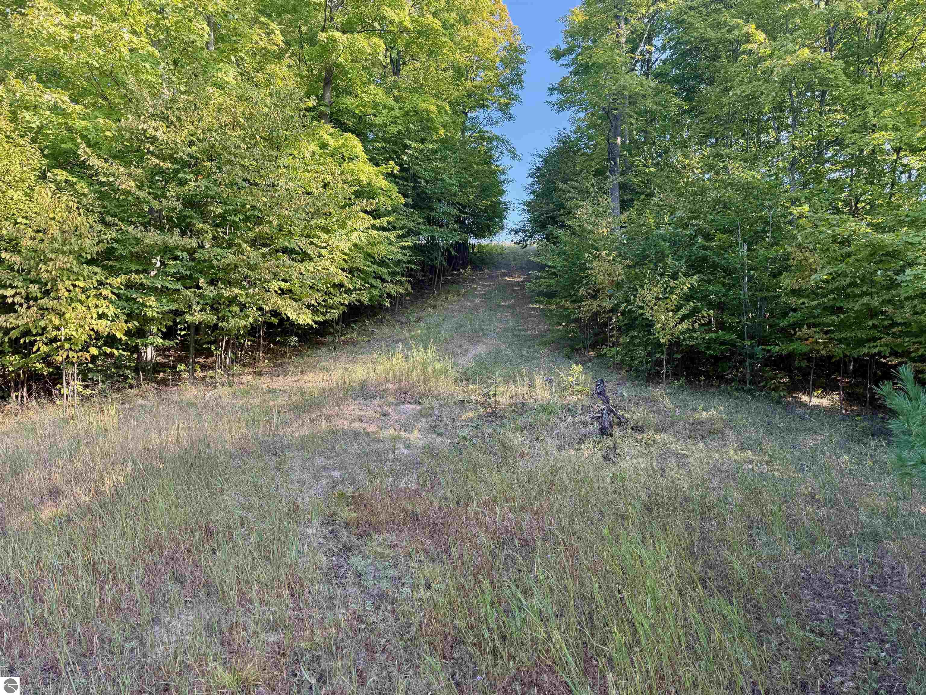 0 W Timber Wolf Court