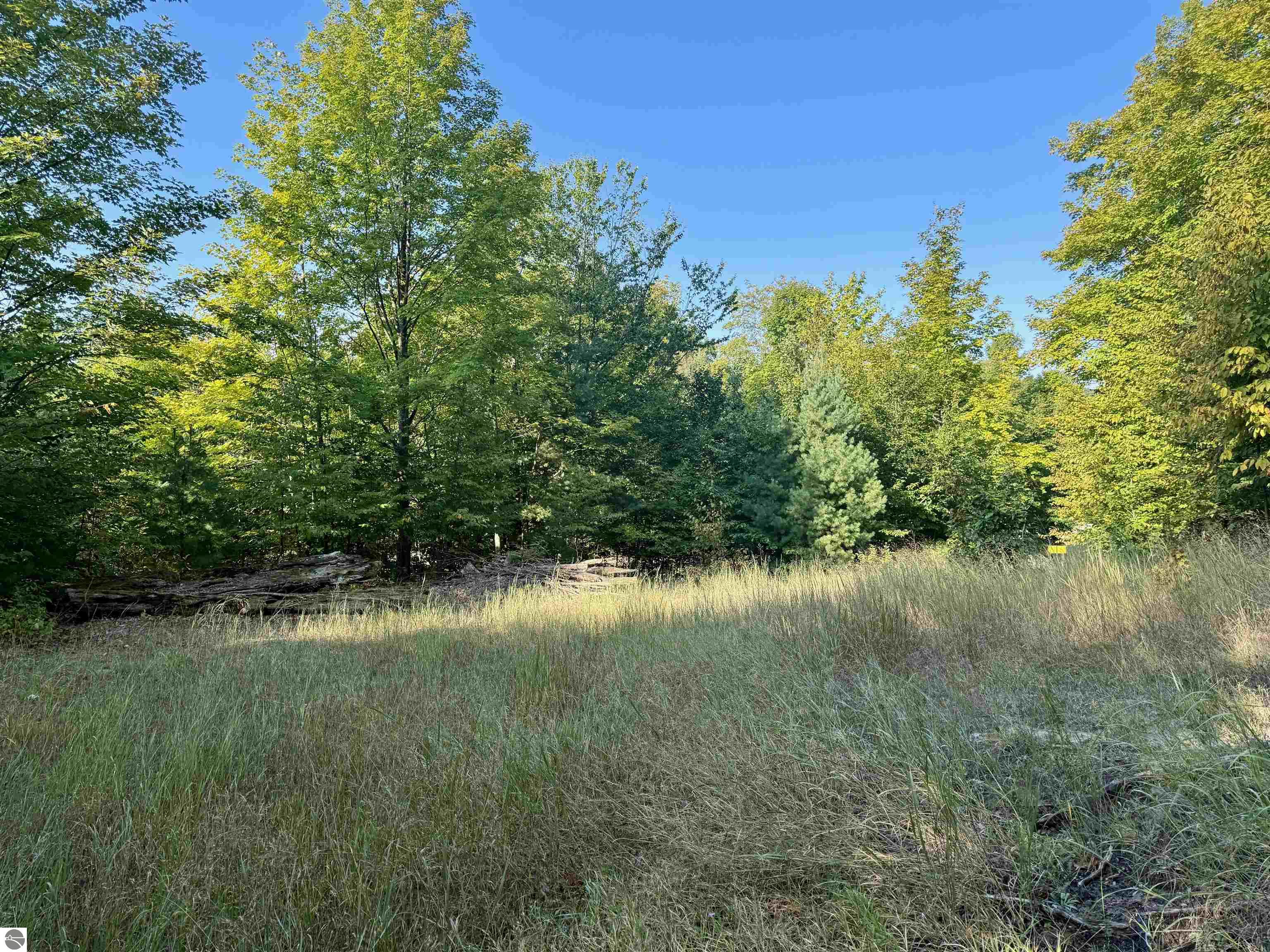 0 W Timber Wolf Court