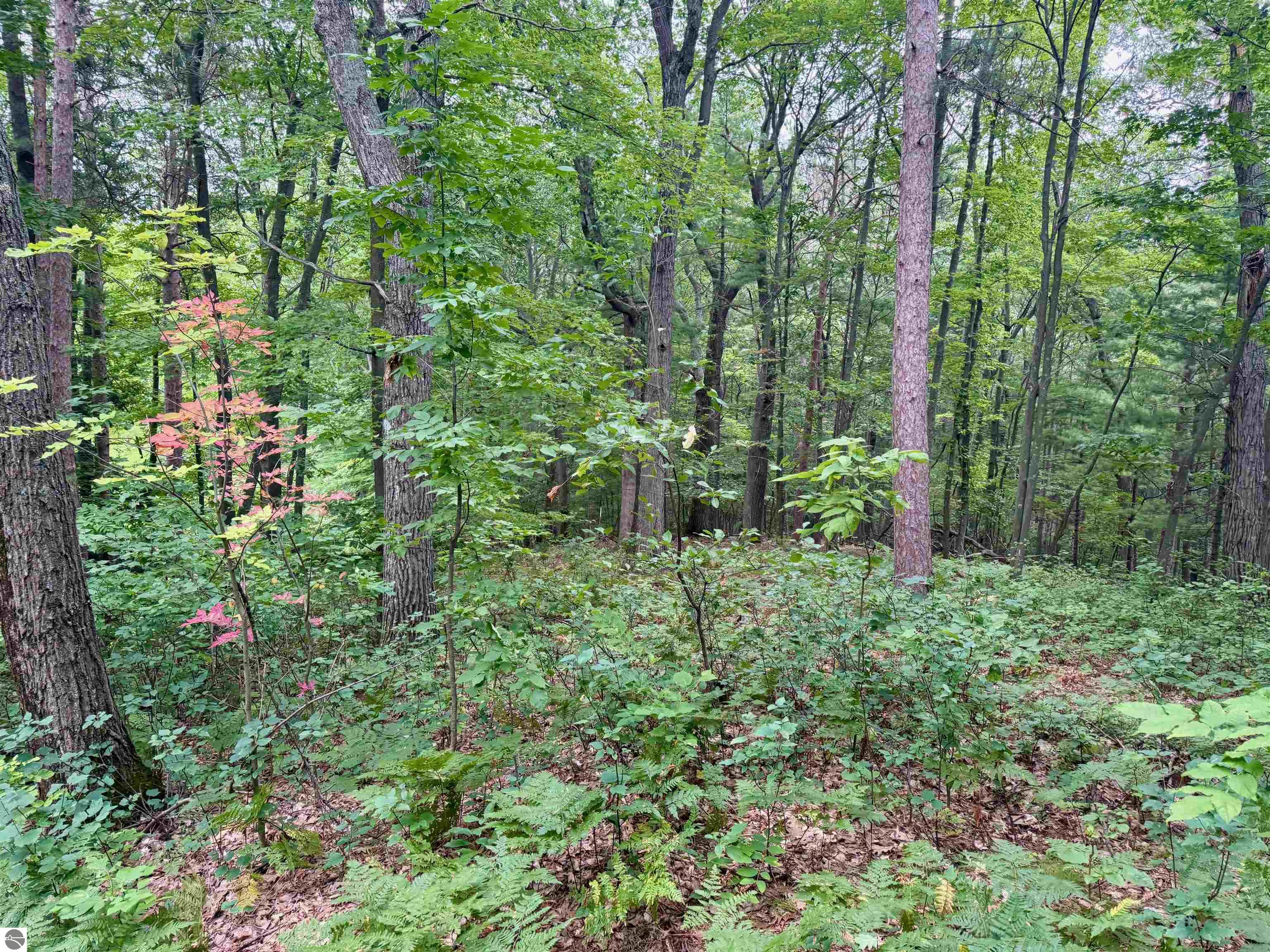 35 Brook Hill Cottages