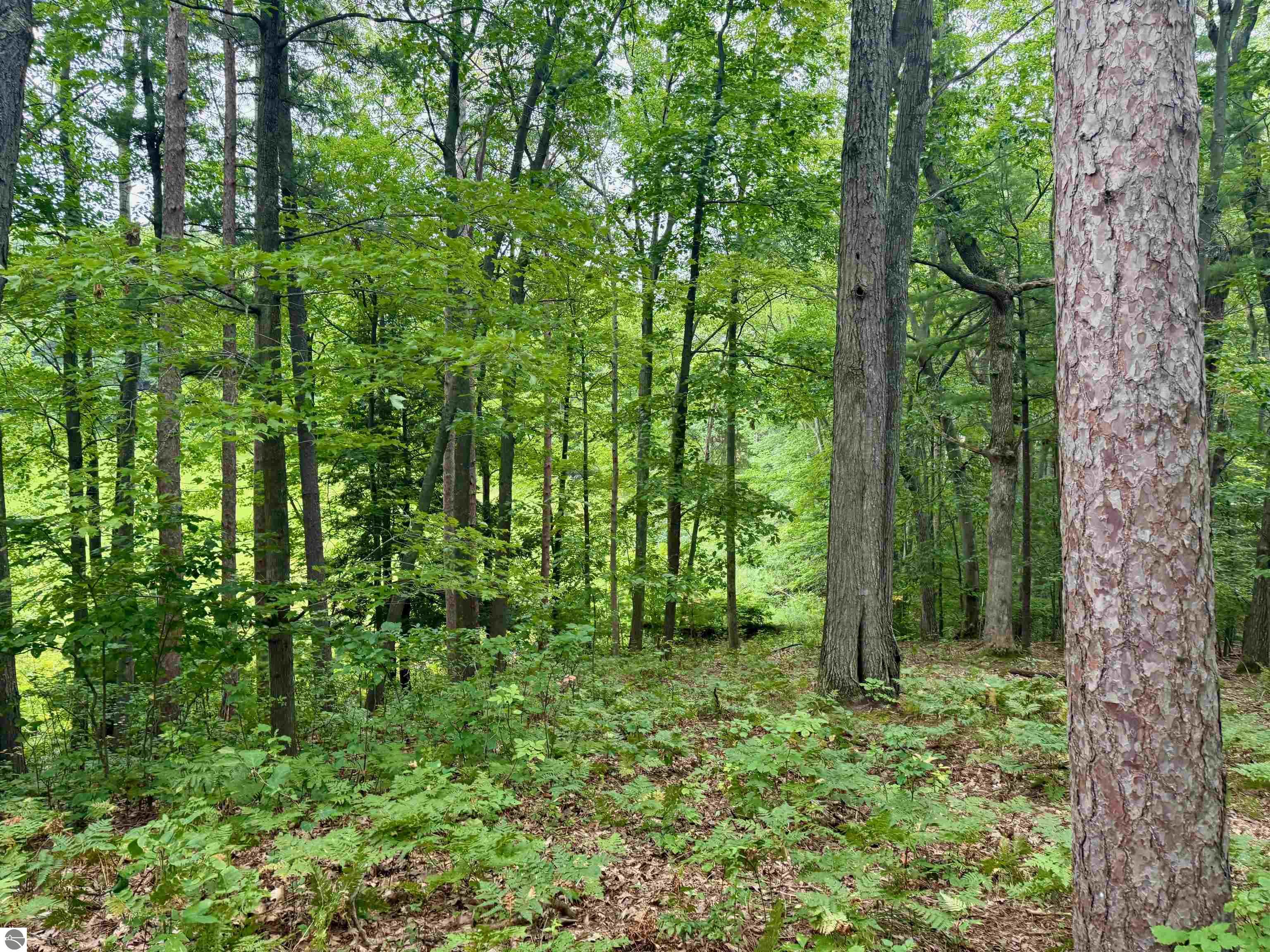 35 Brook Hill Cottages