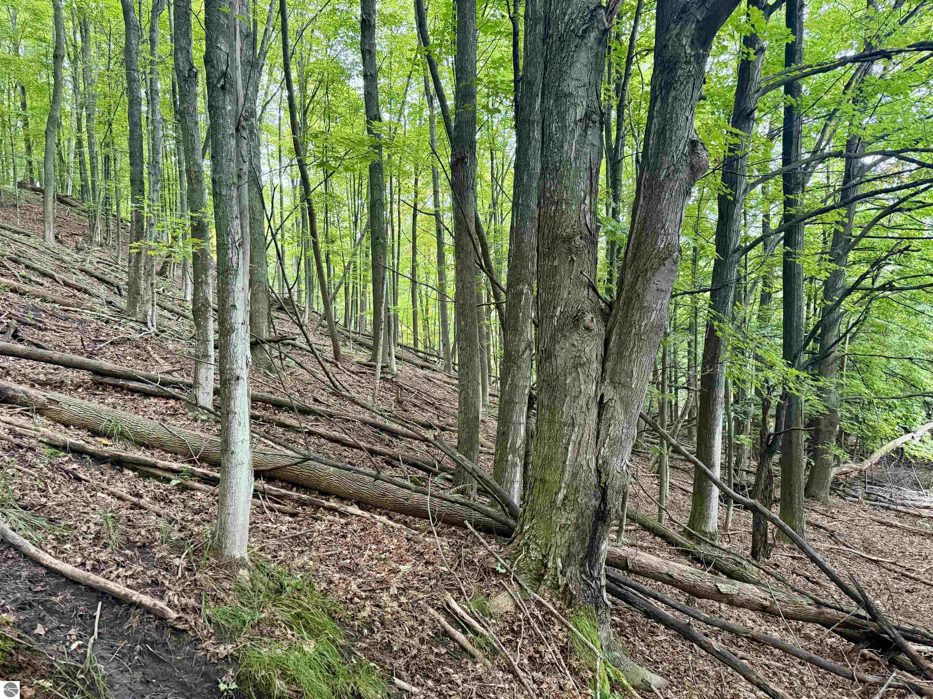 0000 W Harbor Highway