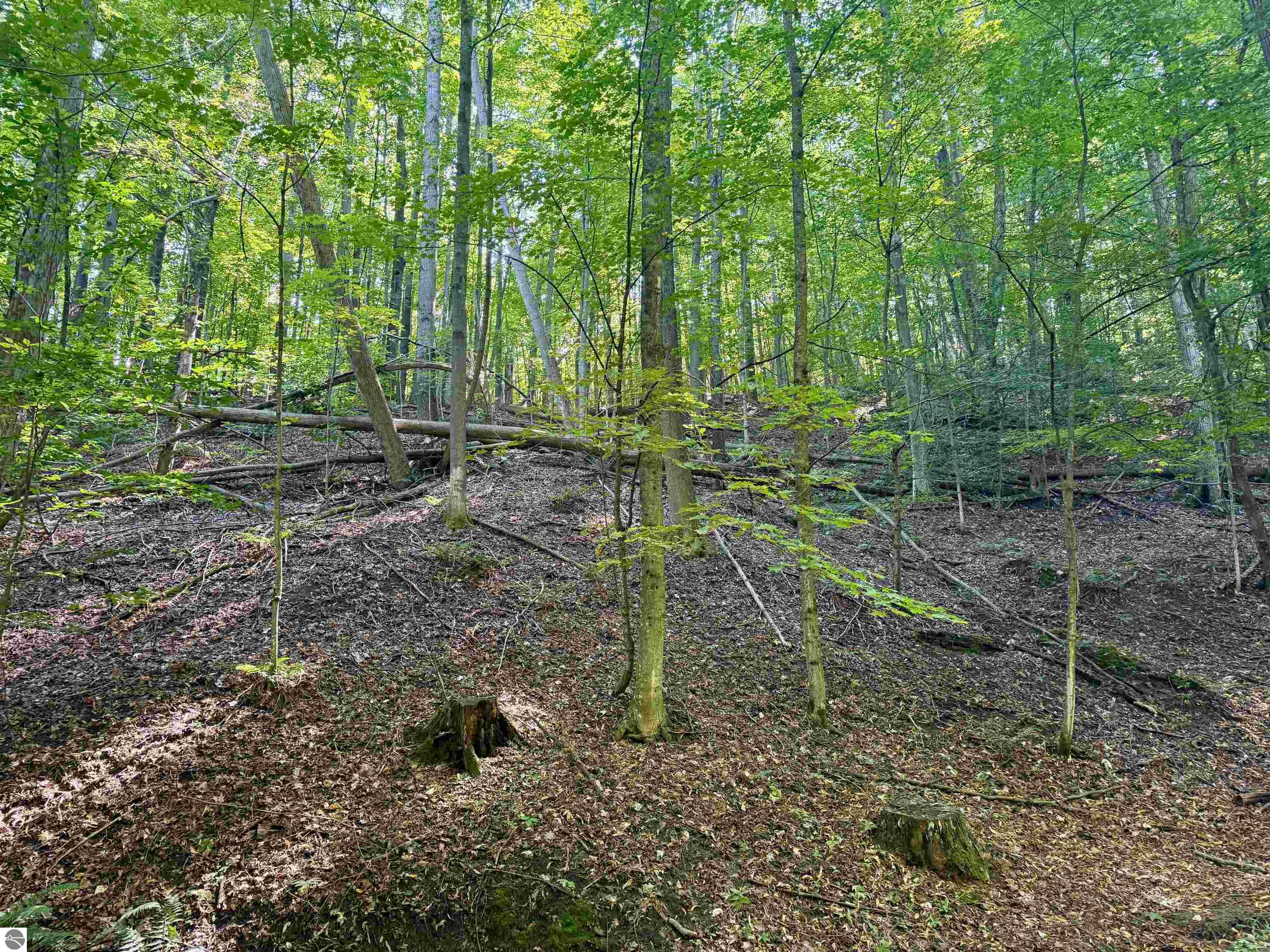 0000 W Harbor Highway