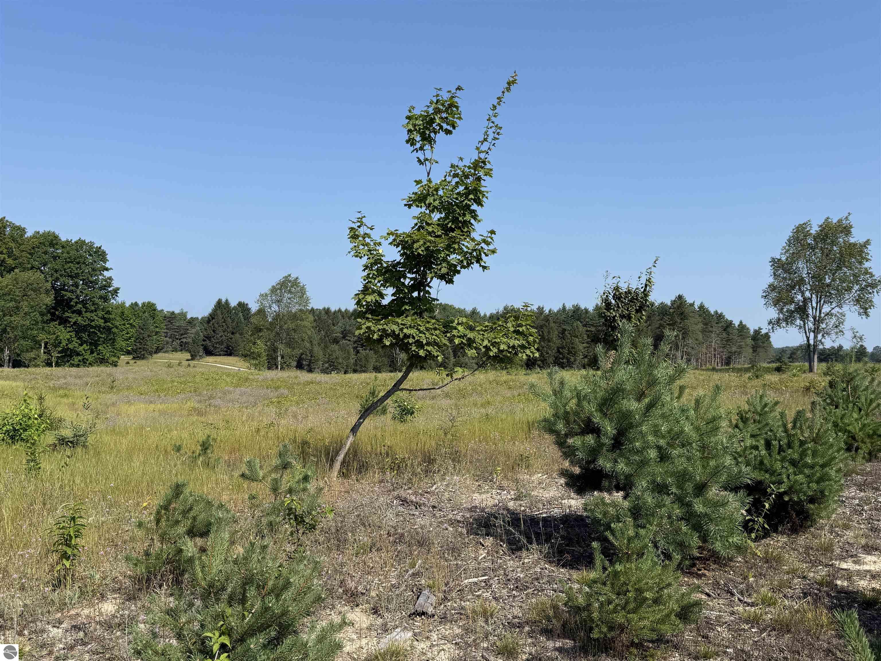 Parcel A7 S Bright Road