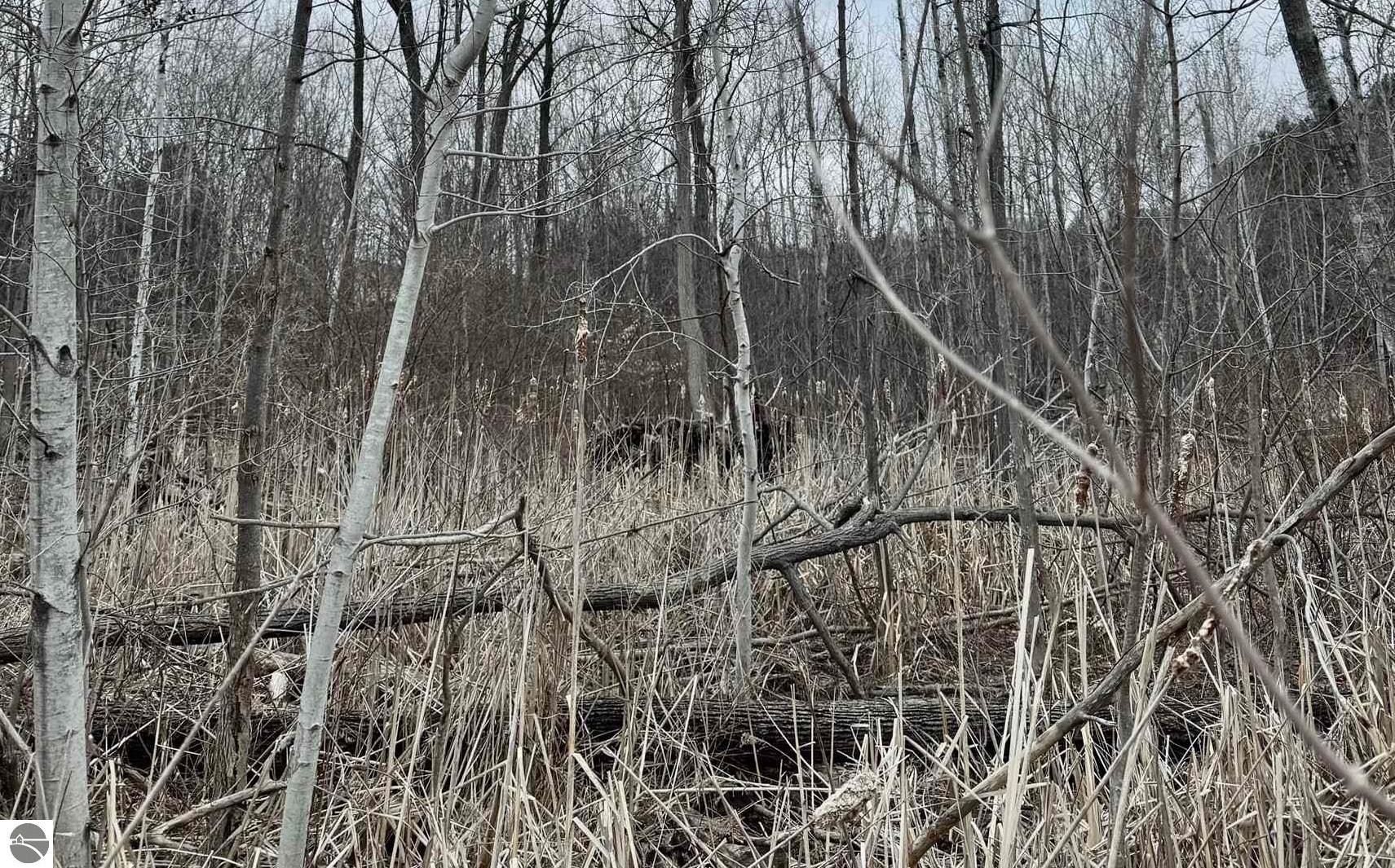 00 E Hidden Beech Drive