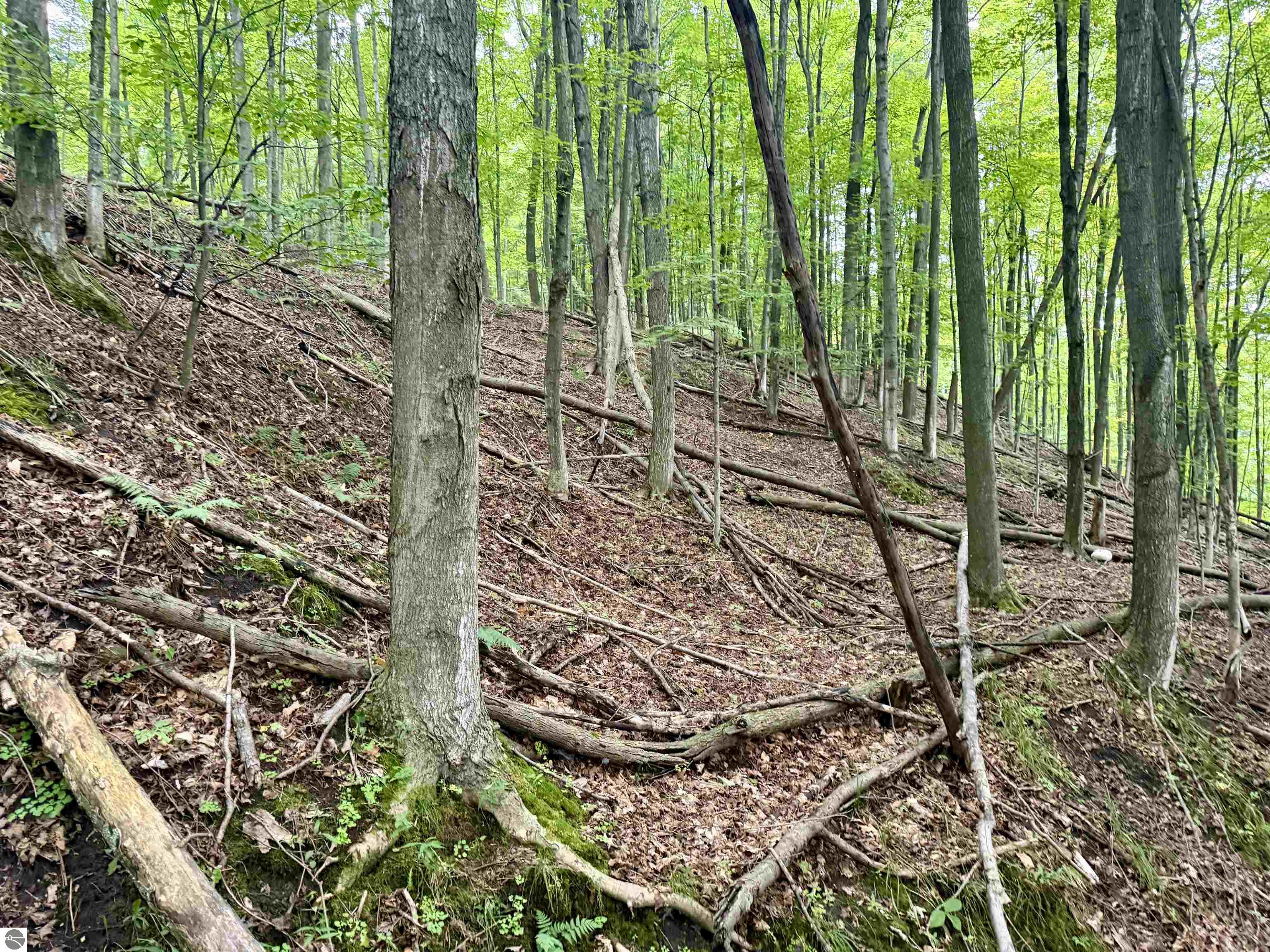 000 W Harbor Highway