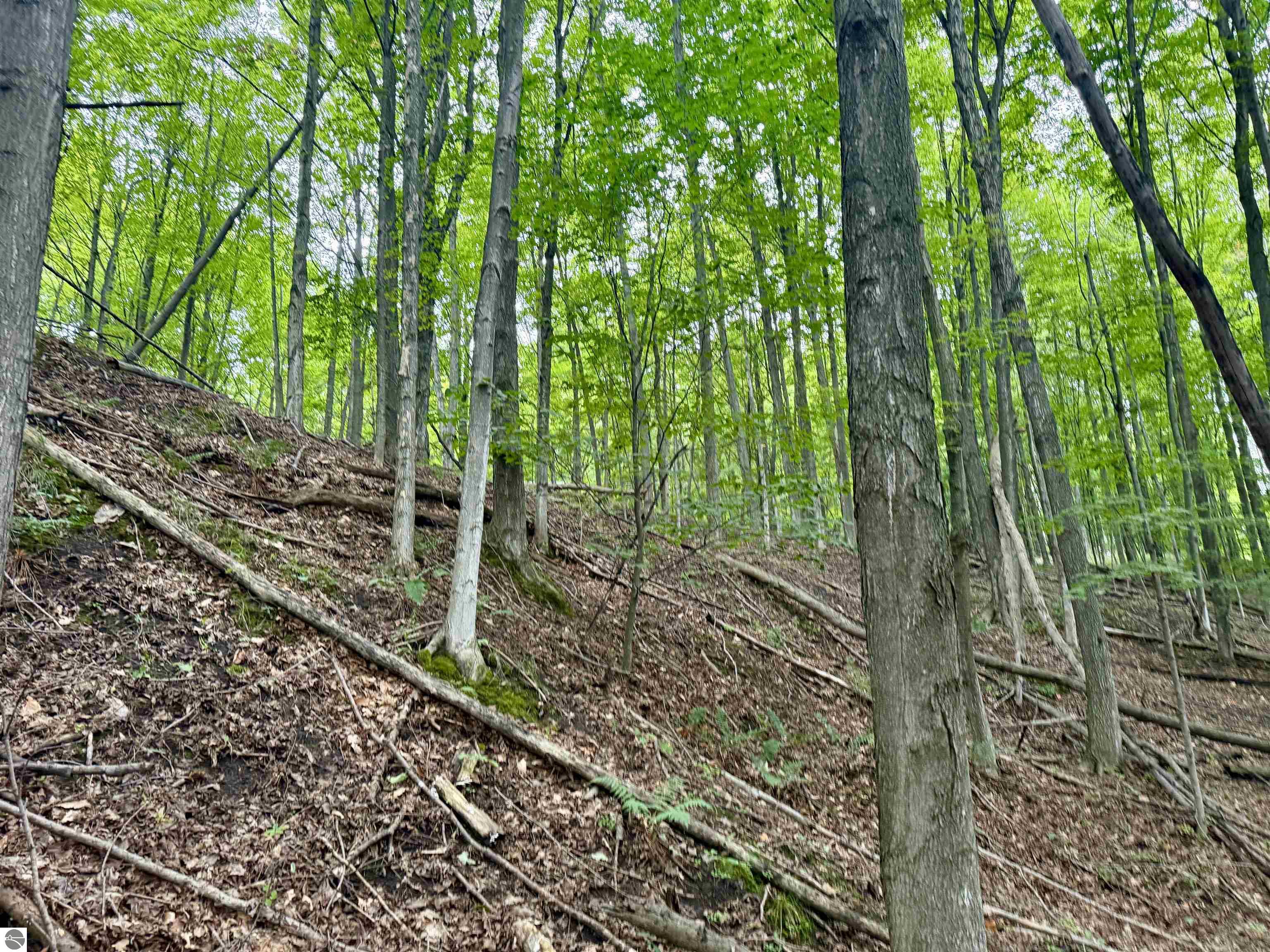 000 W Harbor Highway