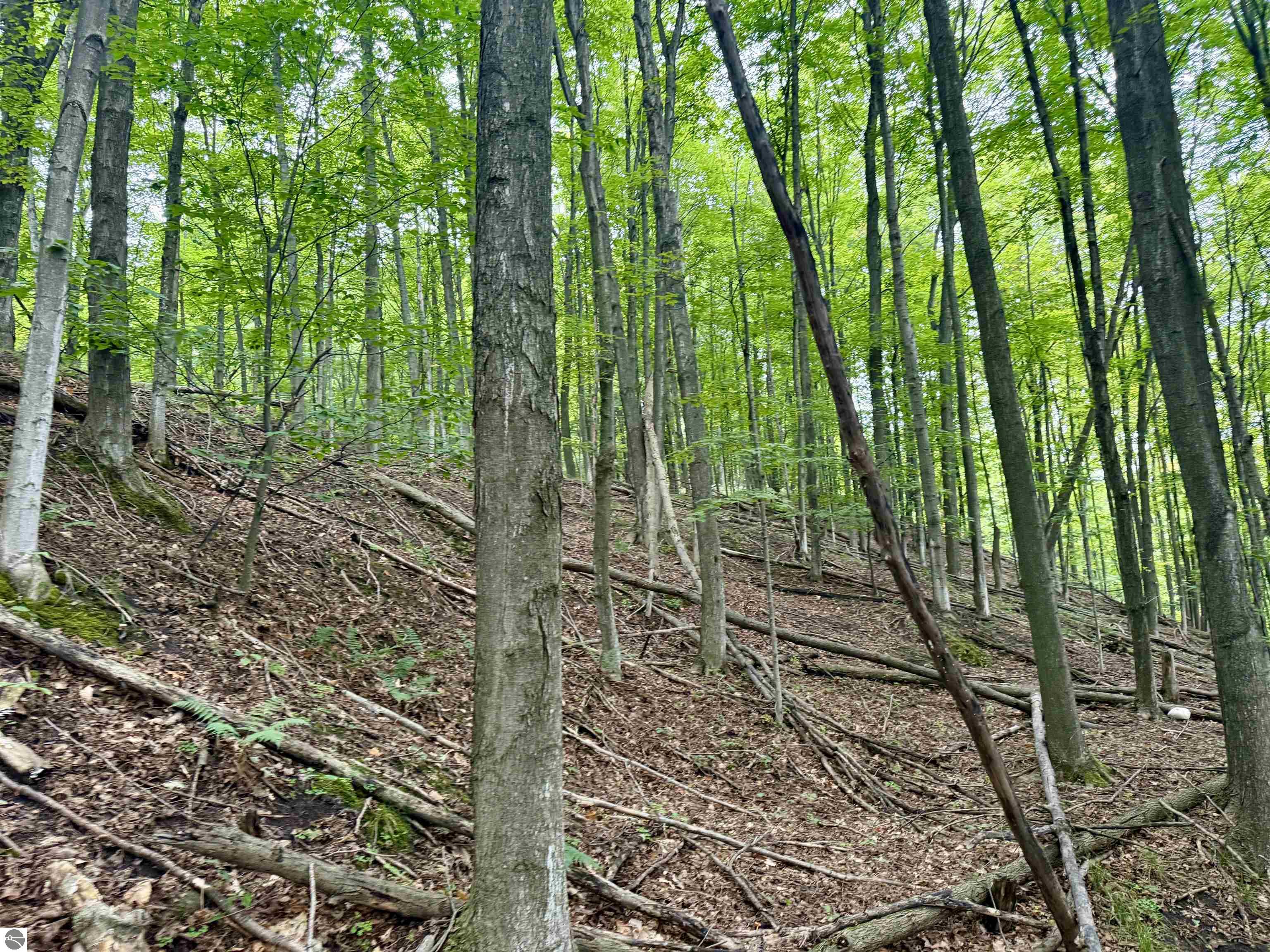 000 W Harbor Highway