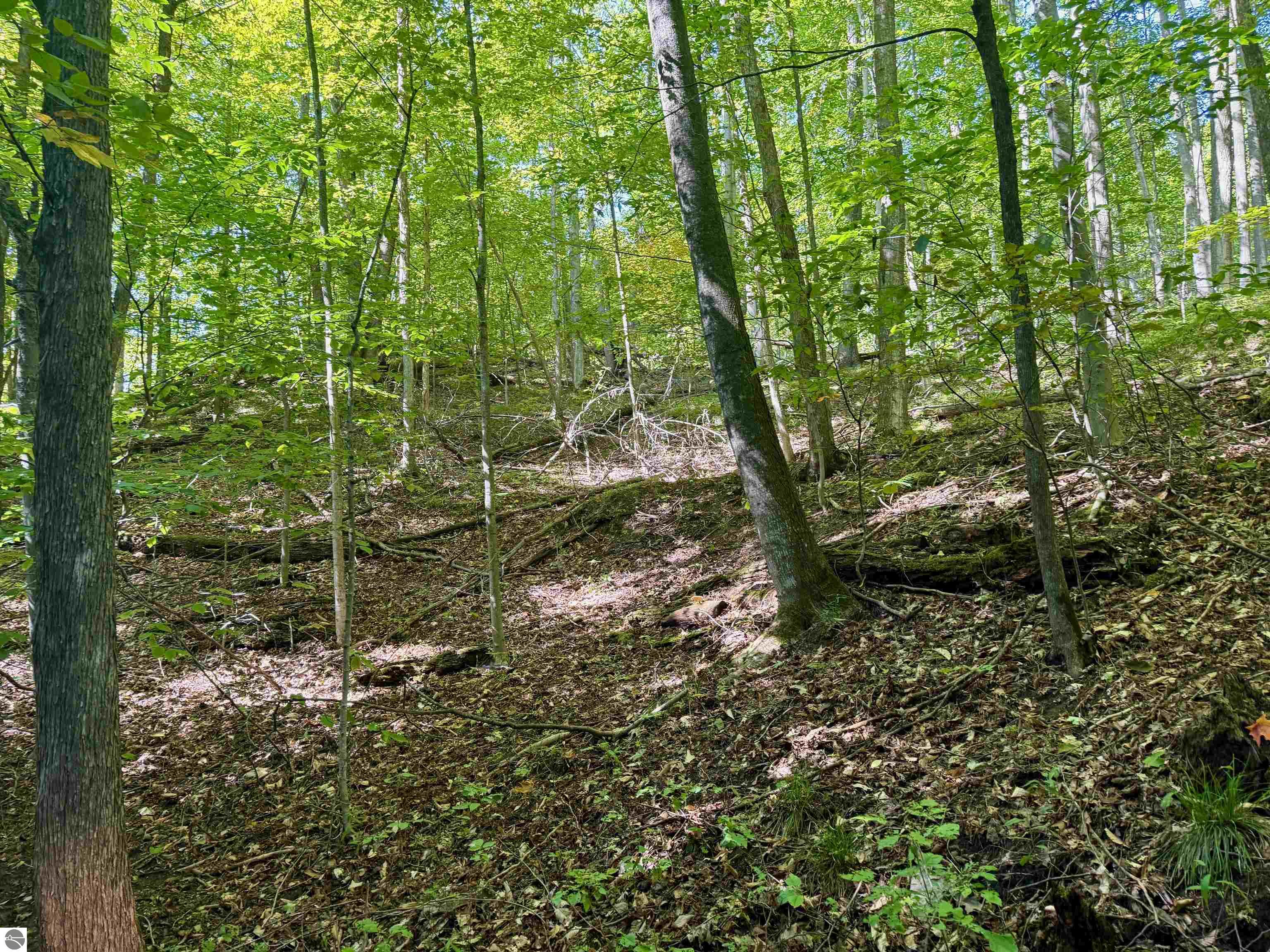 000 W Harbor Highway