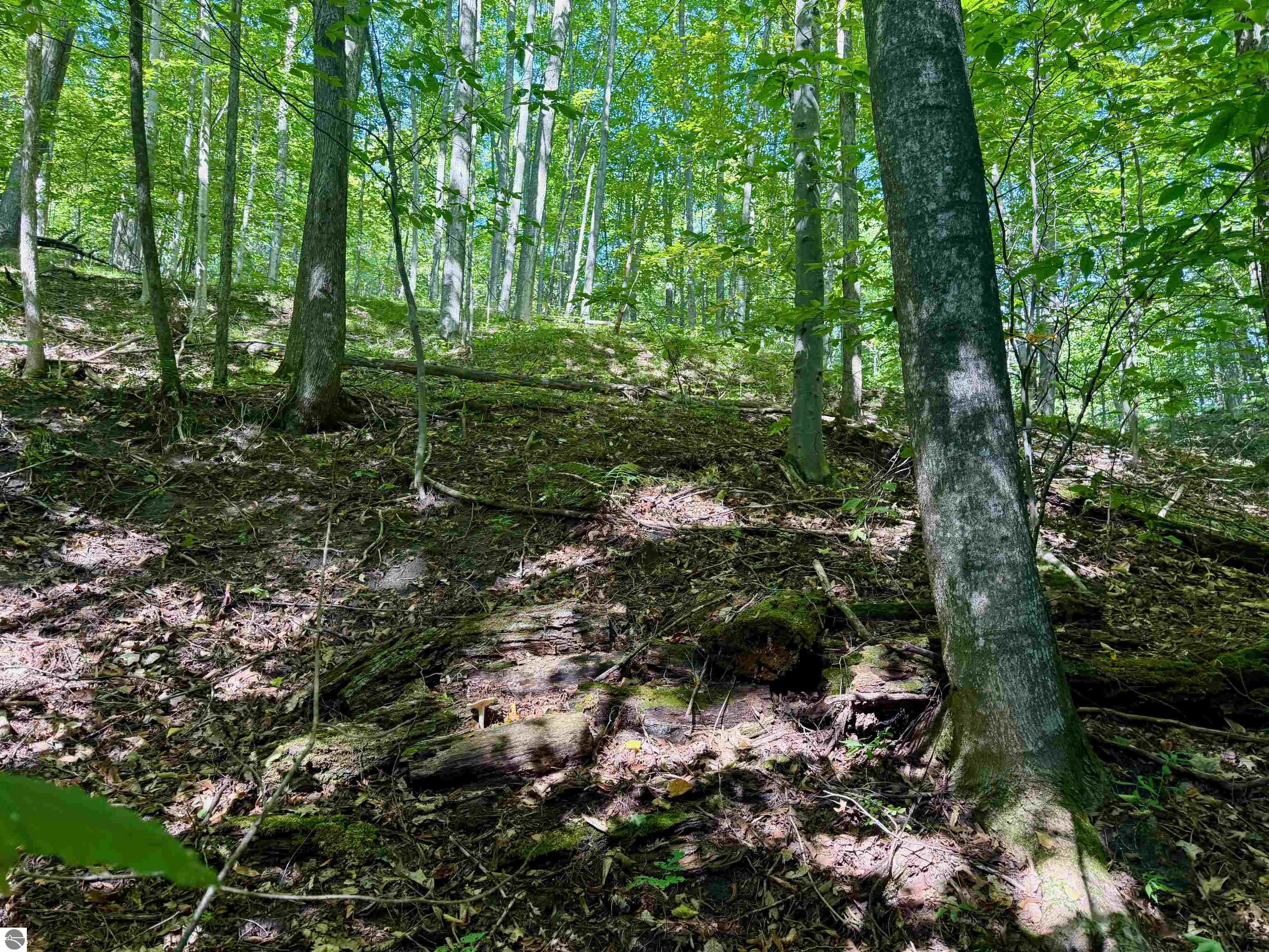 000 W Harbor Highway