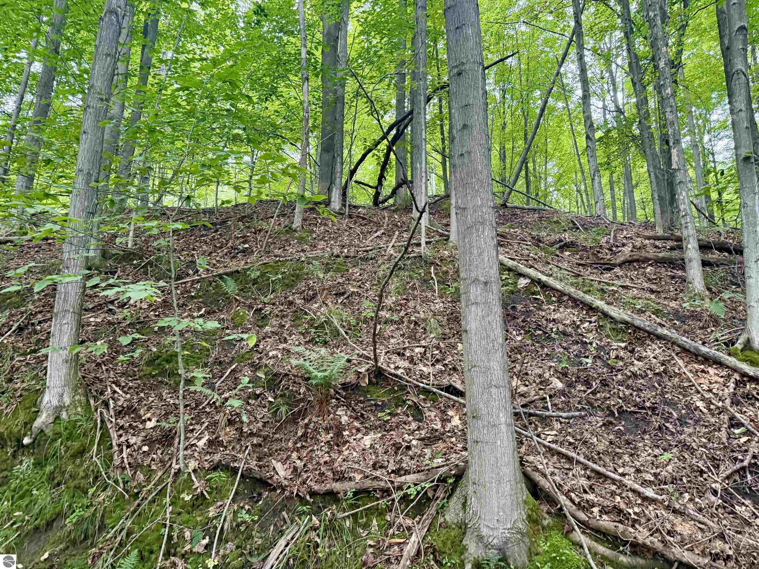 000 W Harbor Highway