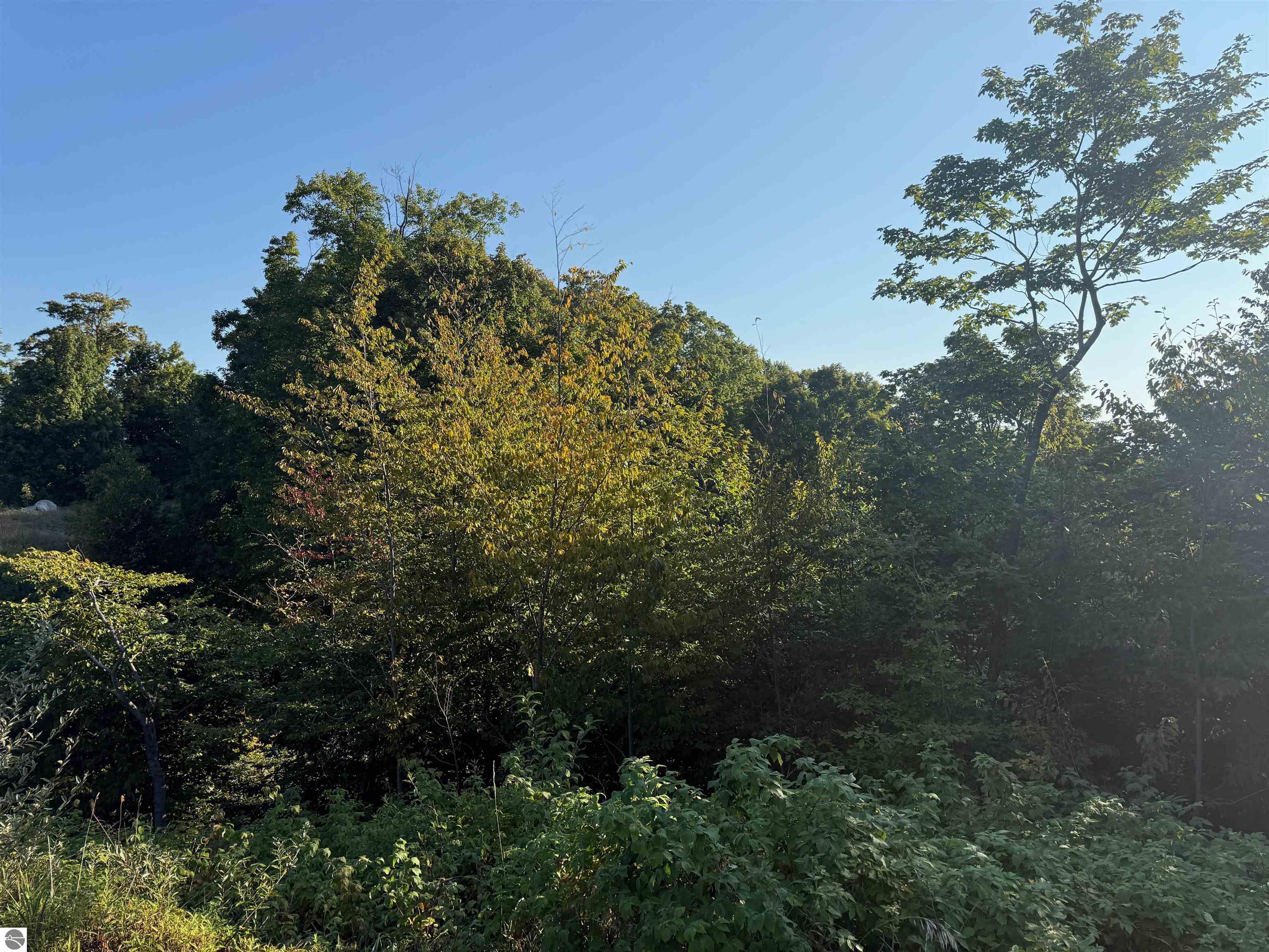 0 W Timber Wolf Court