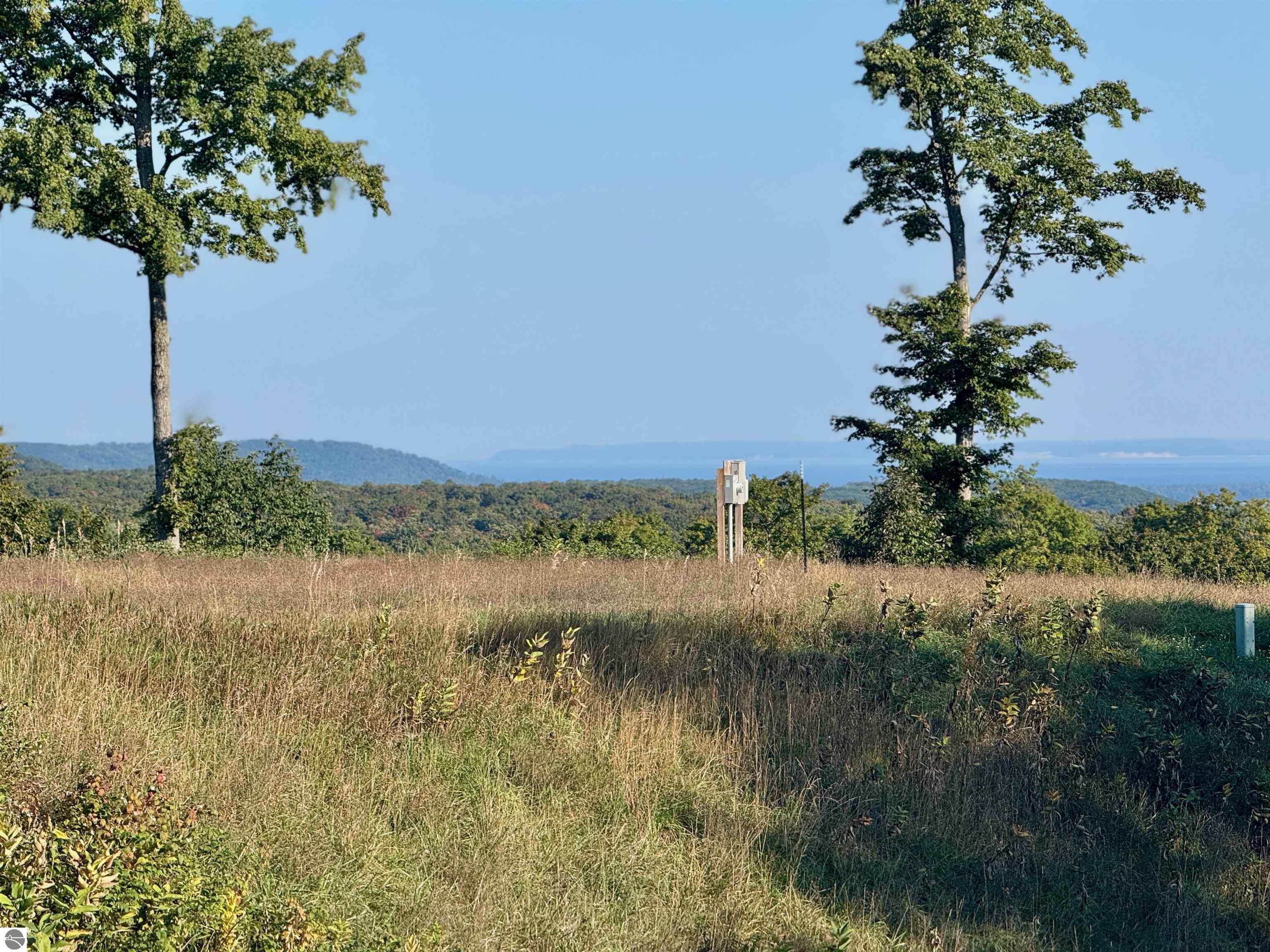 0 W Timber Wolf Court